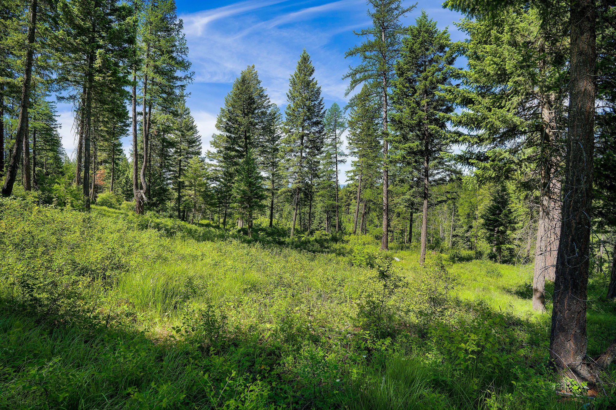 678 Saddlehorn Trail Property Photo 28