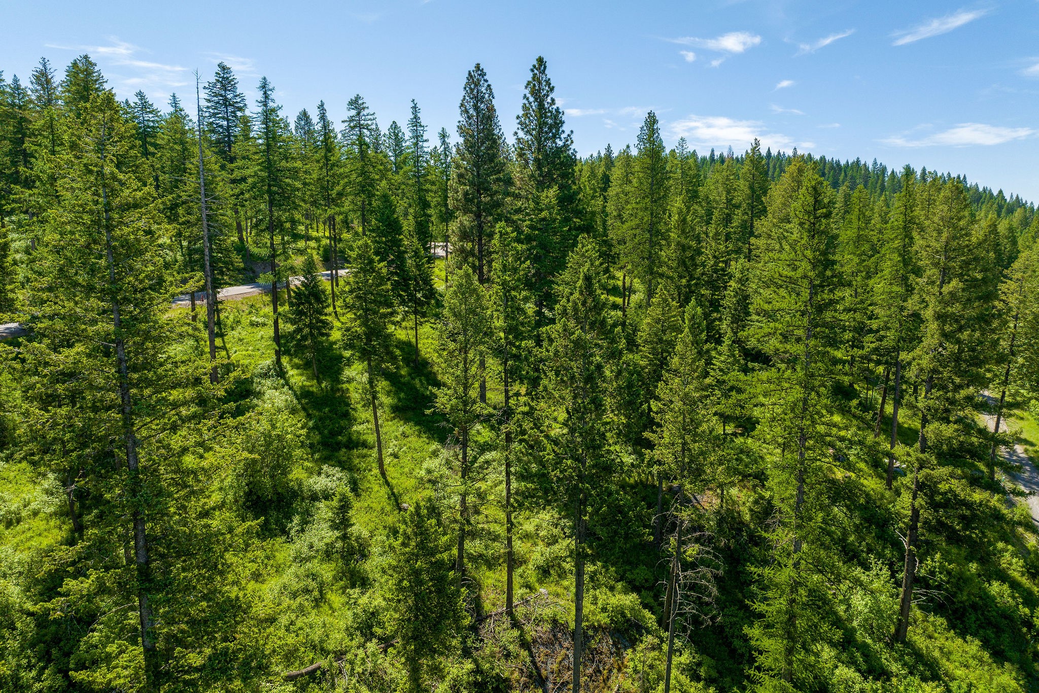 678 Saddlehorn Trail Property Photo 32