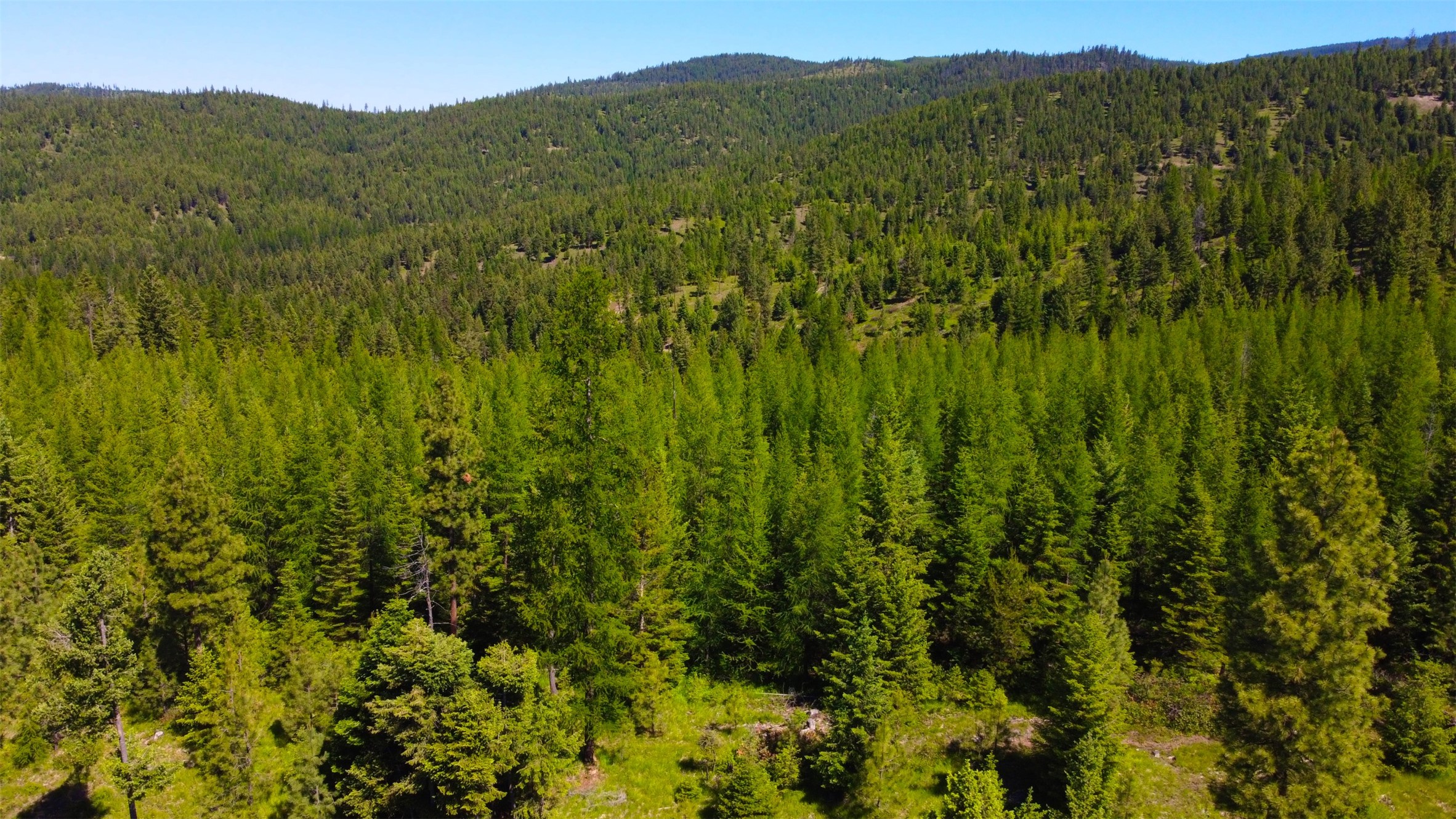 Nhn Corona Rd Ranch Property Photo 9