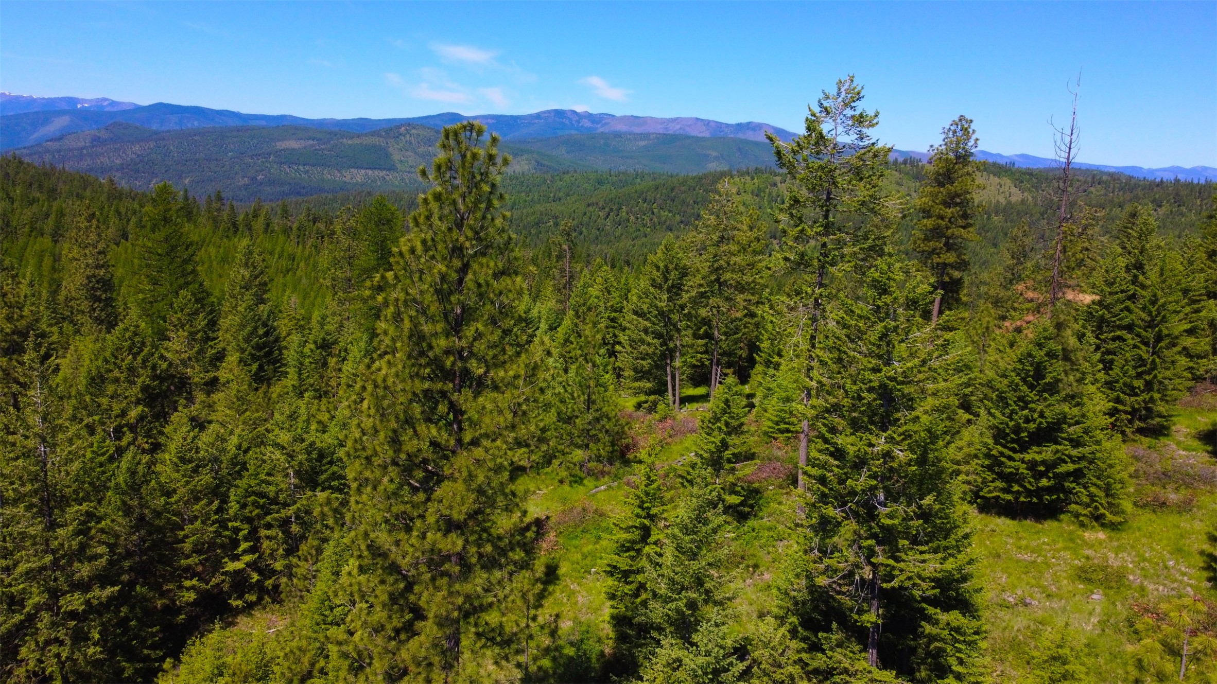 Nhn Corona Rd Ranch Property Photo 10