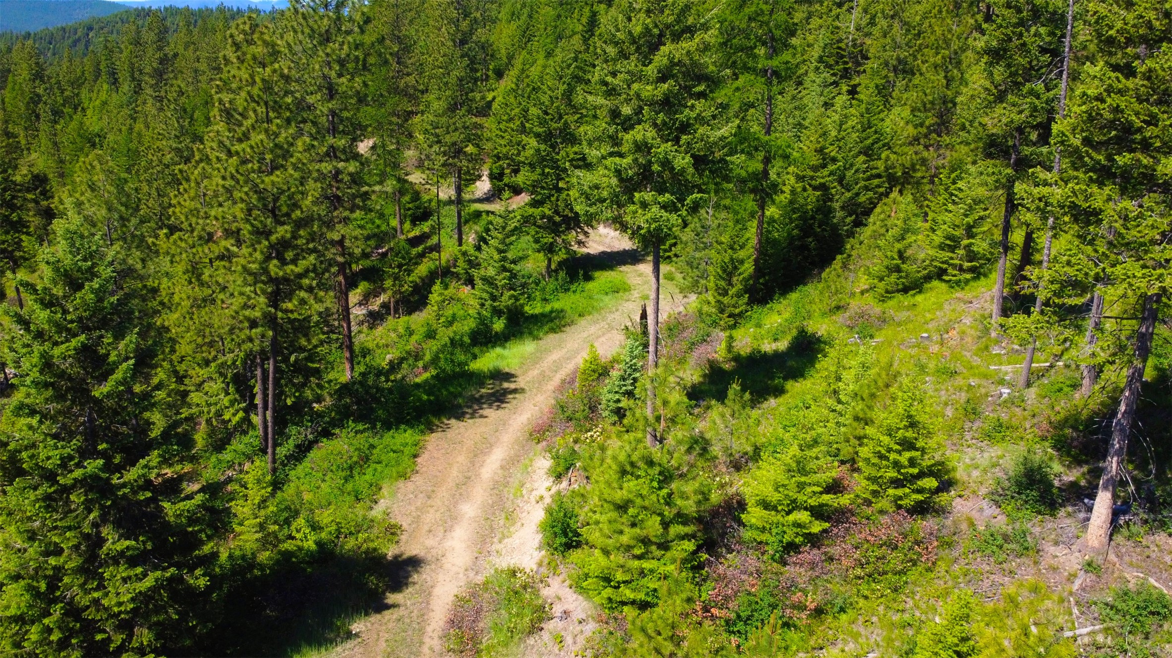Nhn Corona Rd Ranch Property Photo 11