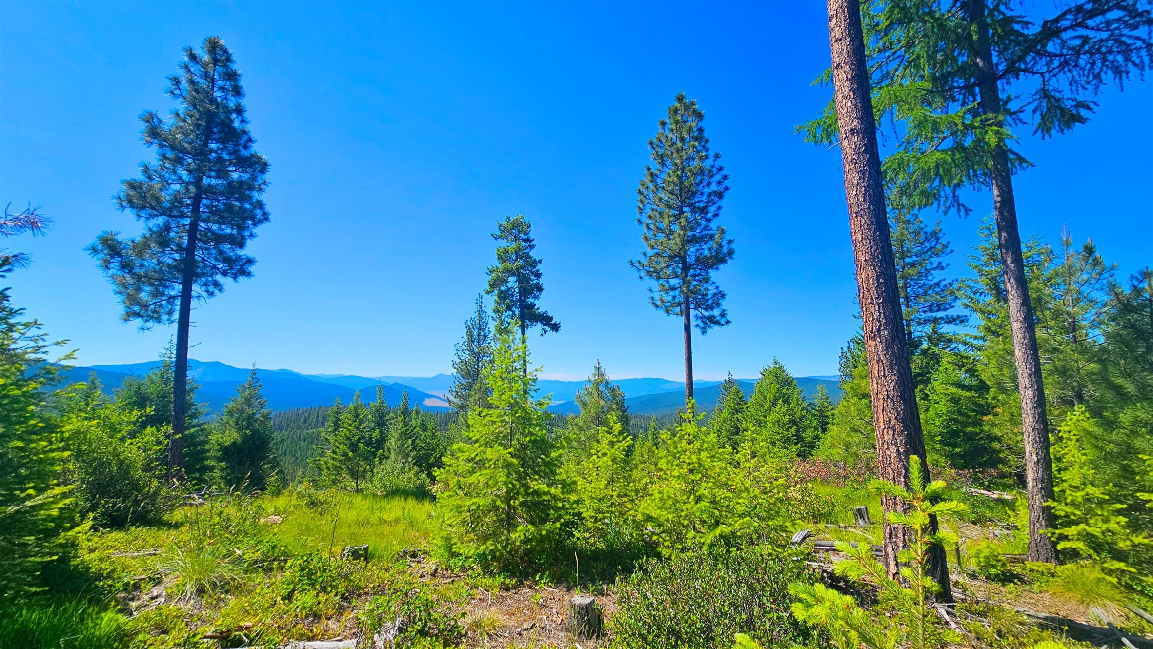 Nhn Corona Rd Ranch Property Photo 12