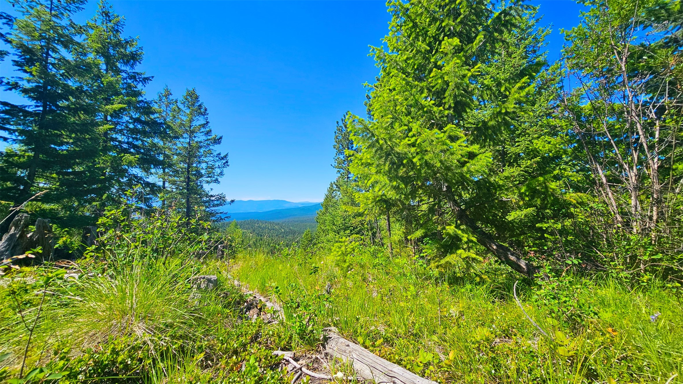 Nhn Corona Rd Ranch Property Photo 14