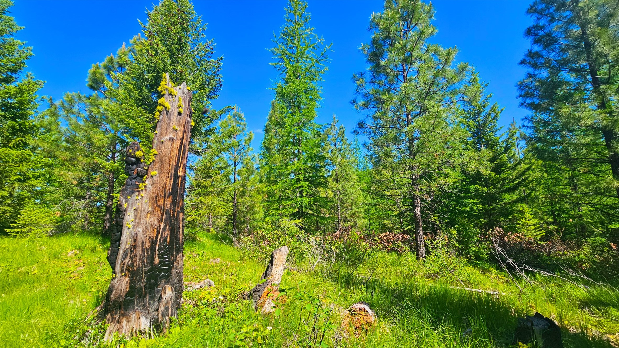 Nhn Corona Rd Ranch Property Photo 15