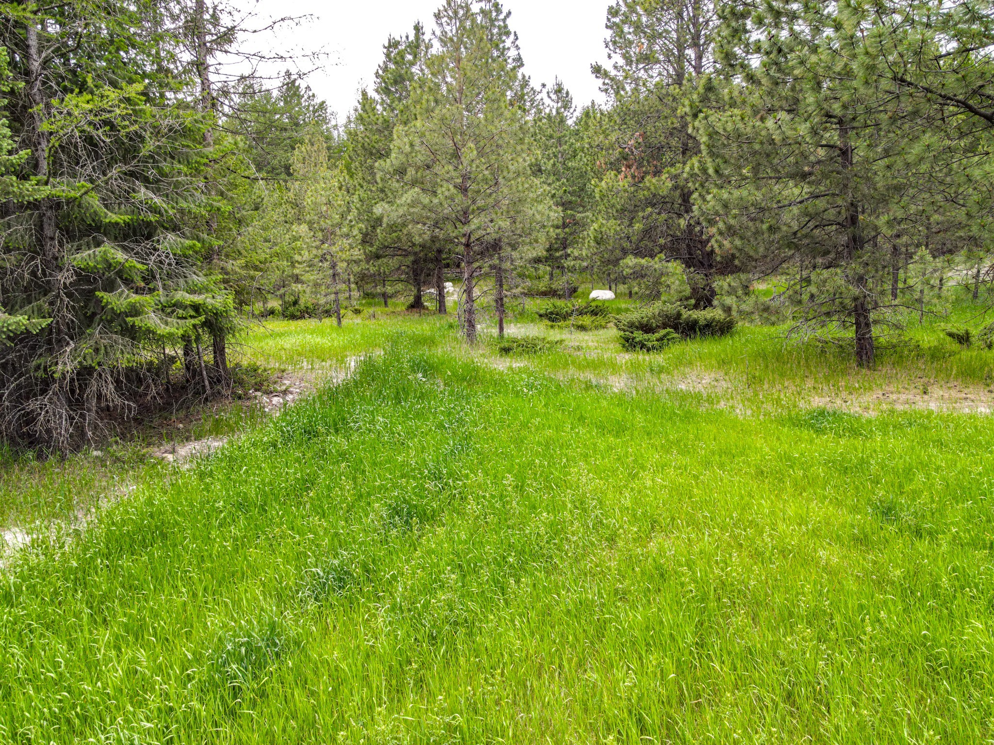 546 Bald Rock Road Property Photo 3