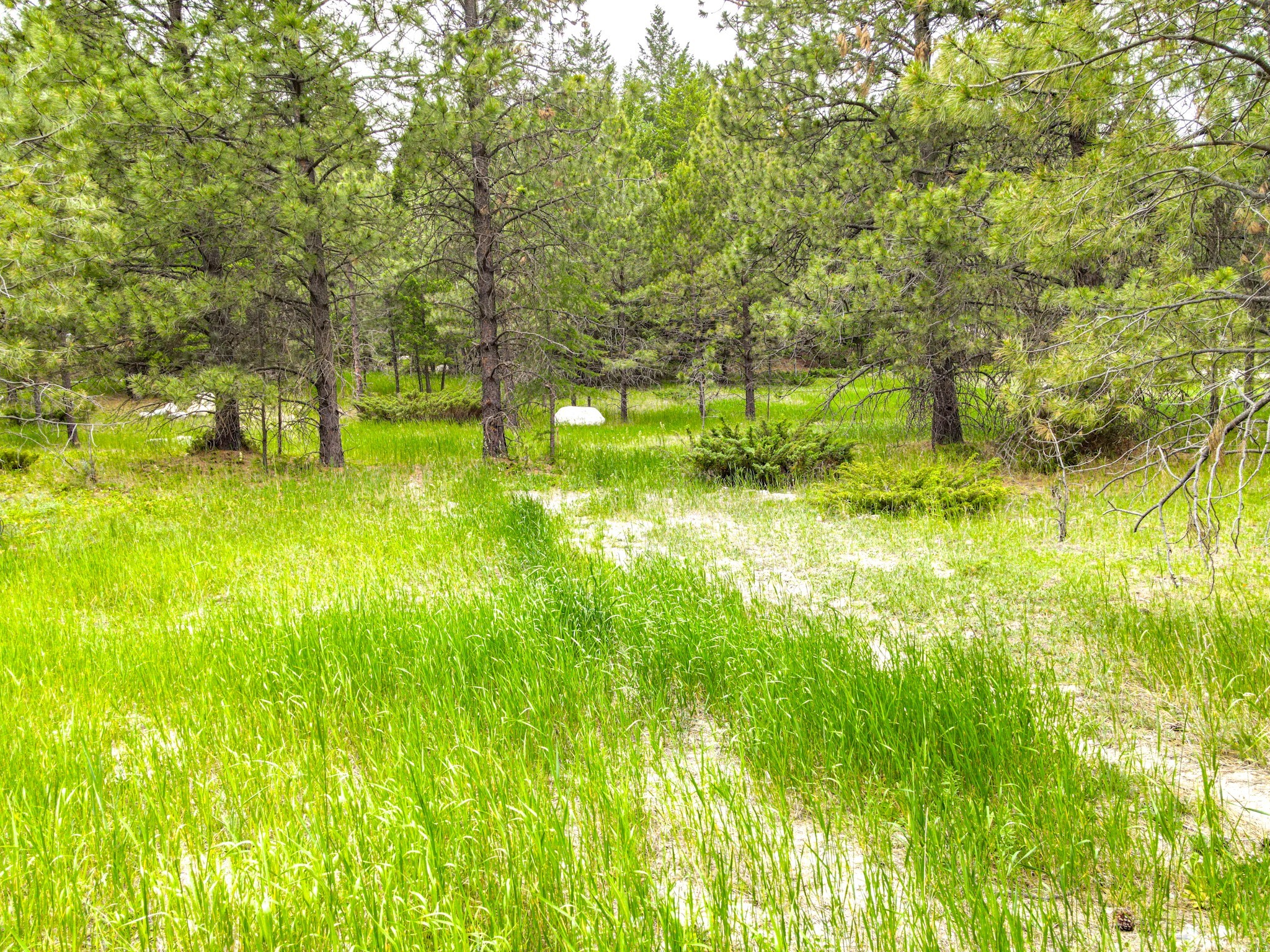 546 Bald Rock Road Property Photo 4