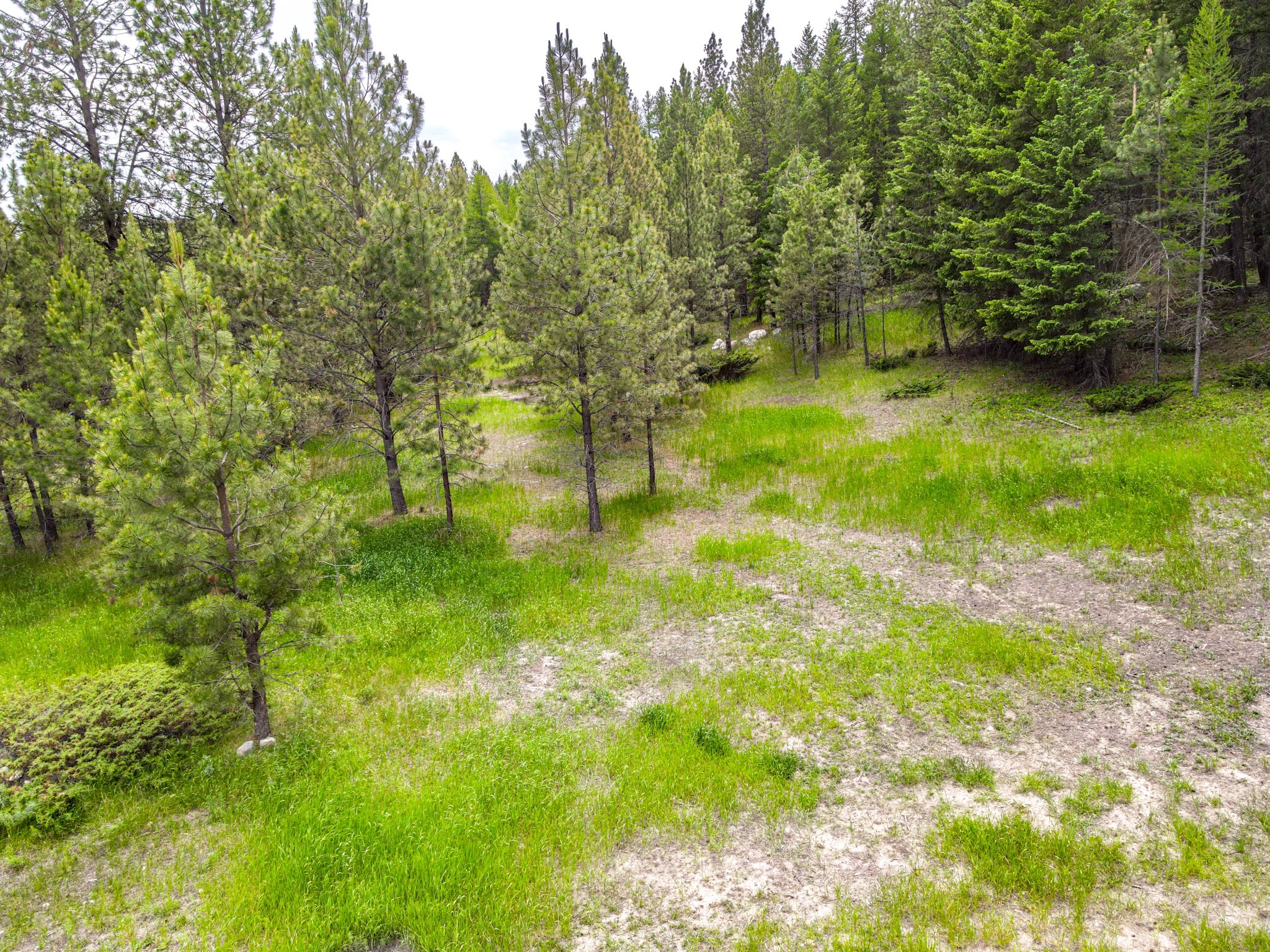 546 Bald Rock Road Property Photo 7