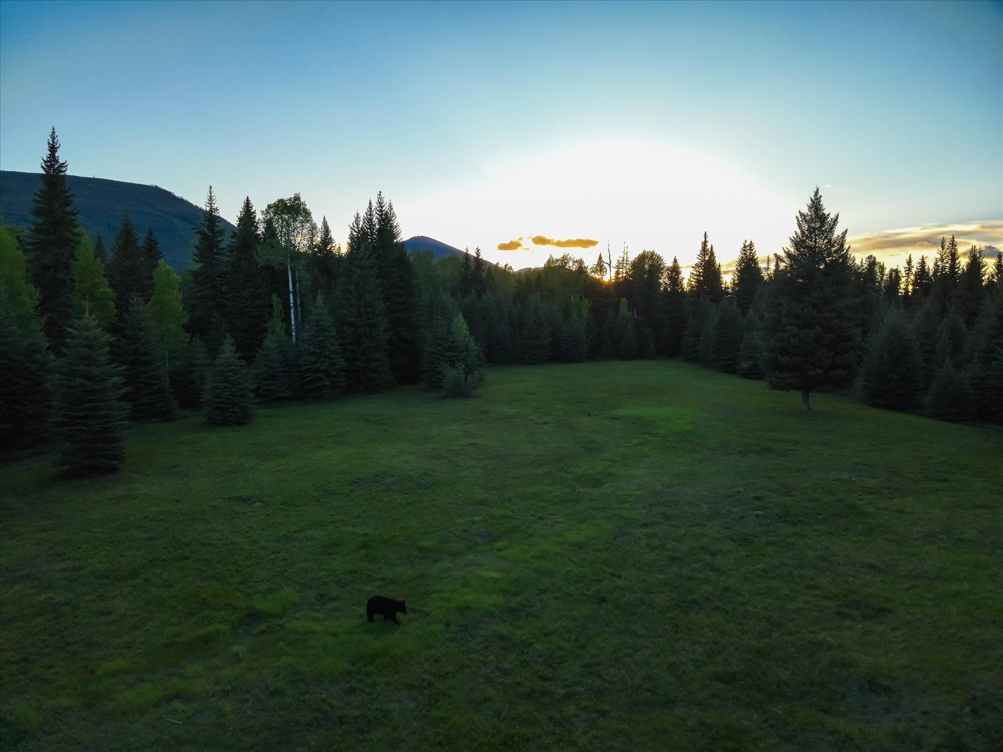 8500 North Fork Road Property Photo 47