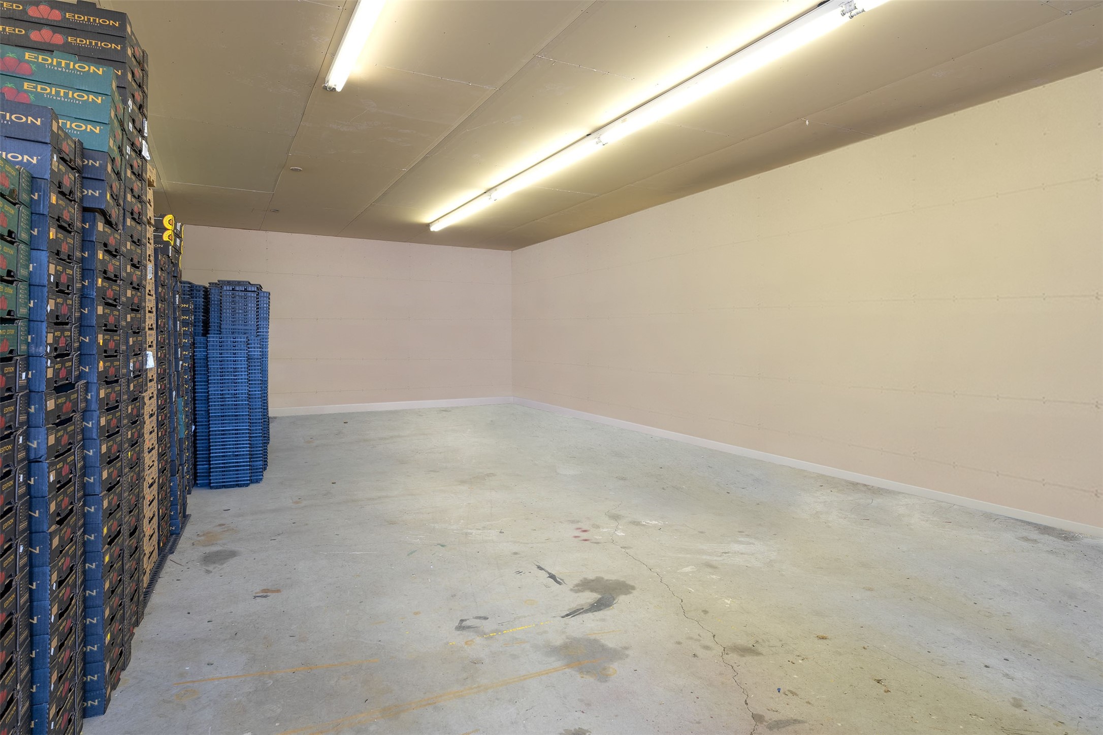 33953 Fox Road Property Photo 20
