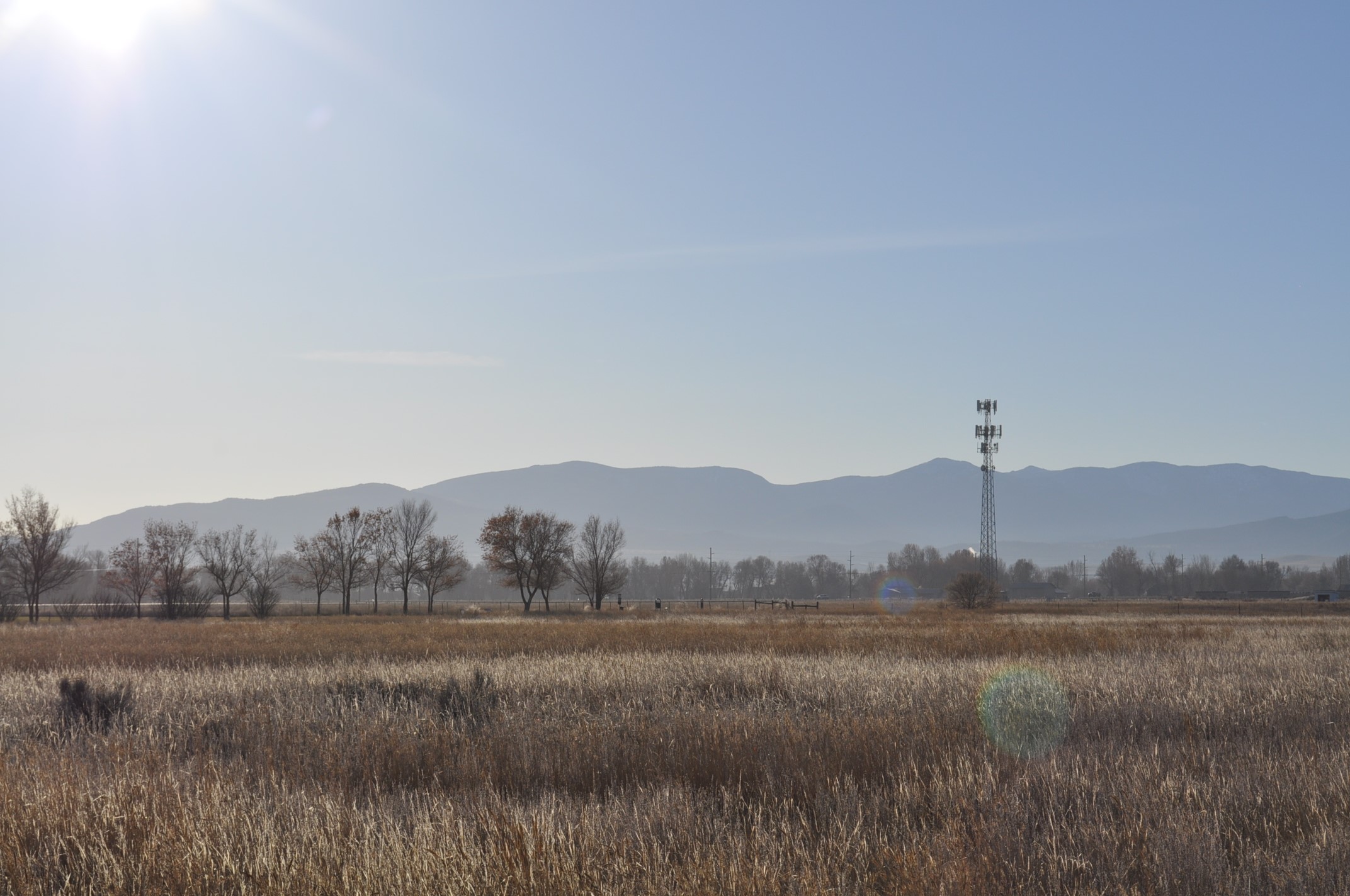 27 Acres Sierra & Montana Property Photo 15