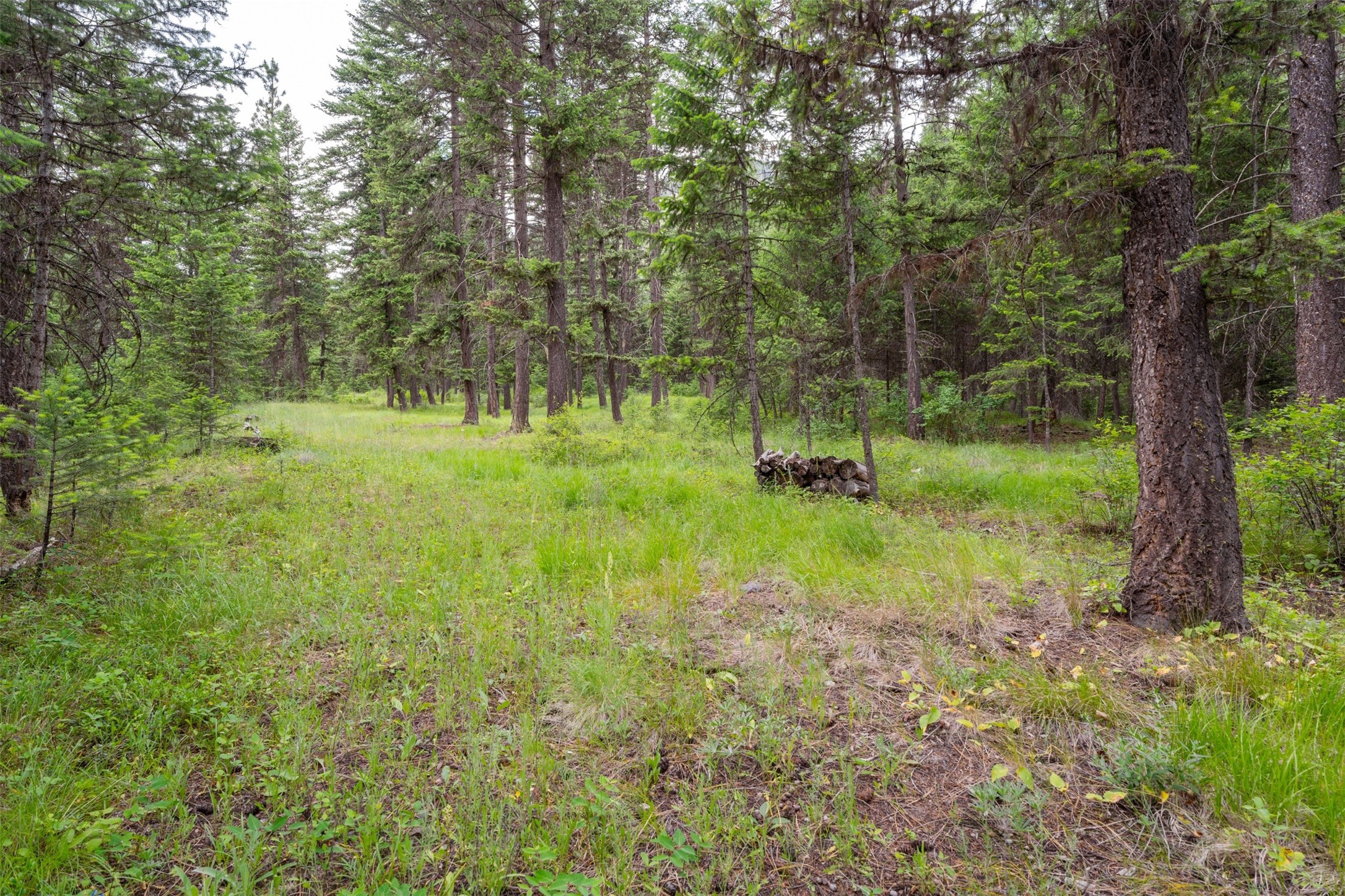 973 Verde Creek Road Property Photo 23