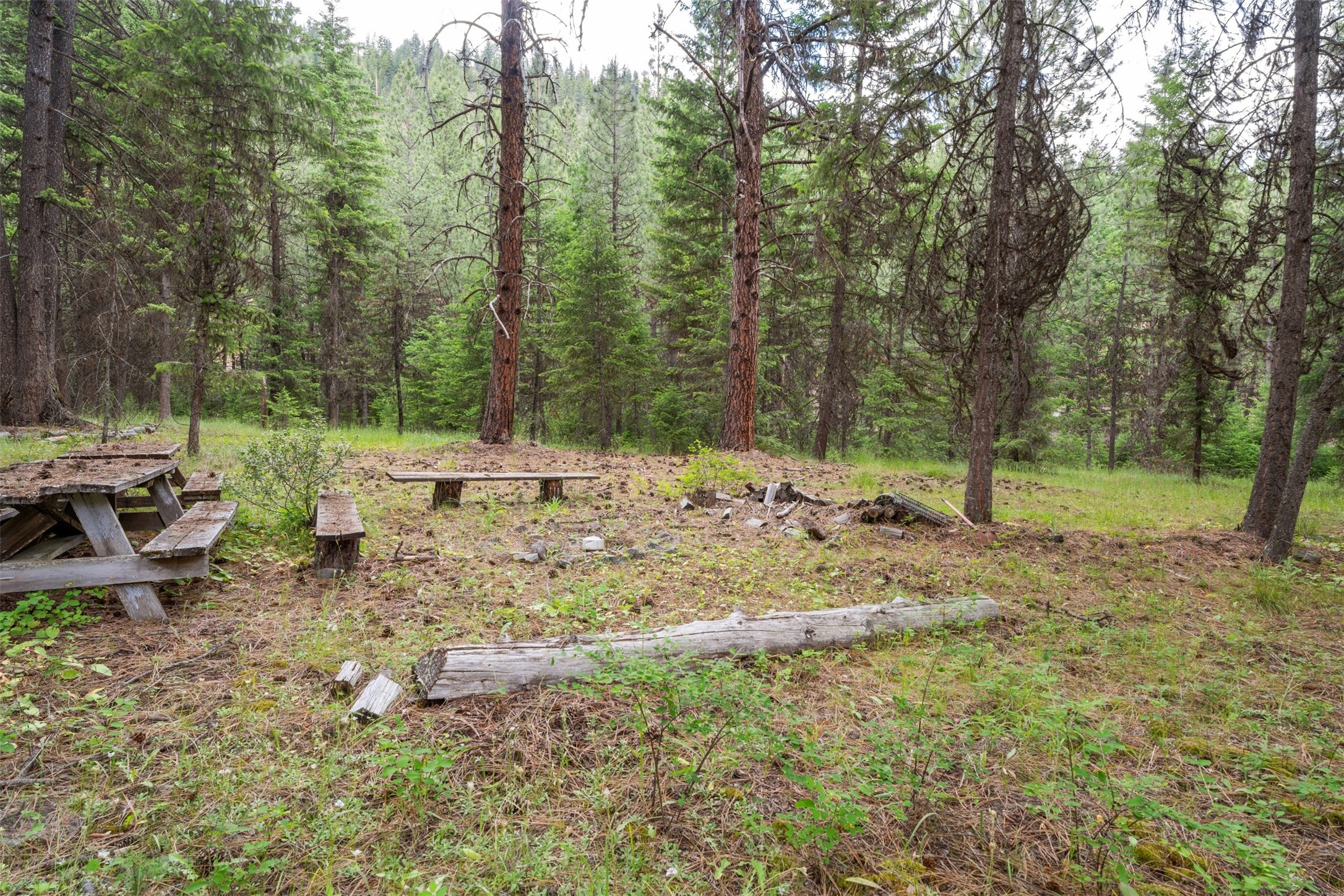 973 Verde Creek Road Property Photo 24