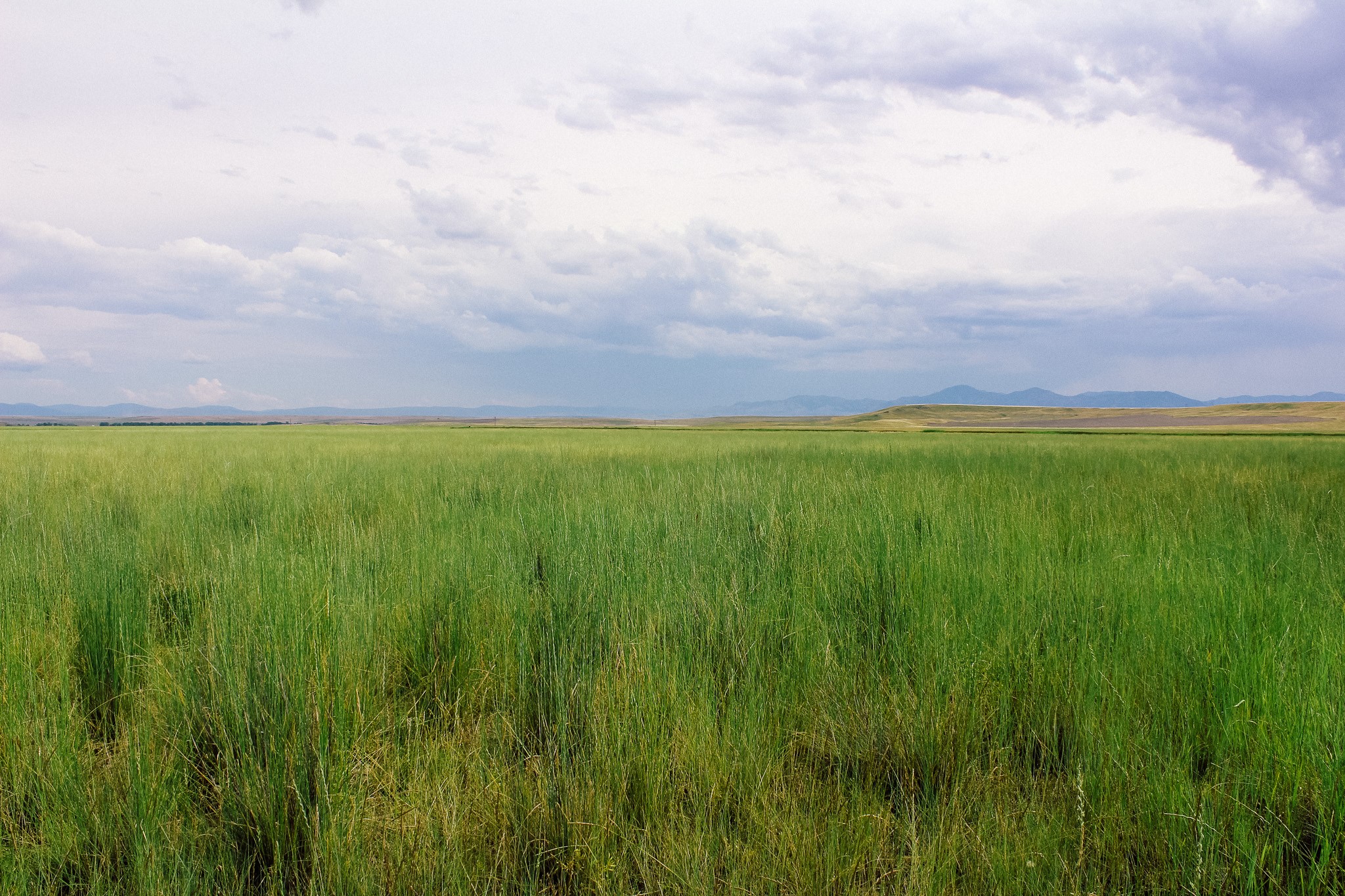 Little Muddy Creek Ranch Property Photo
