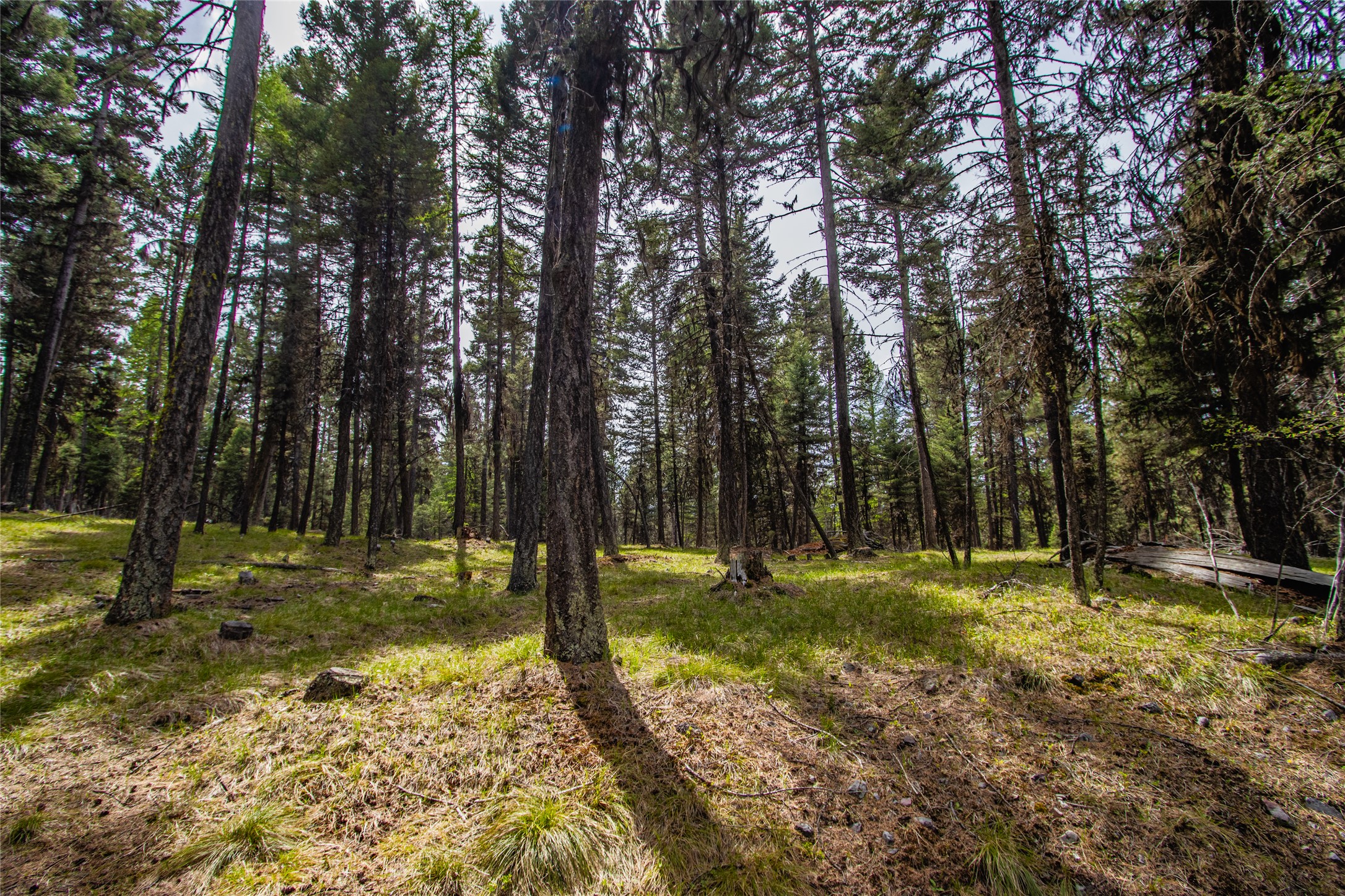 643 & 589 Stagecoach Drive Property Photo 10