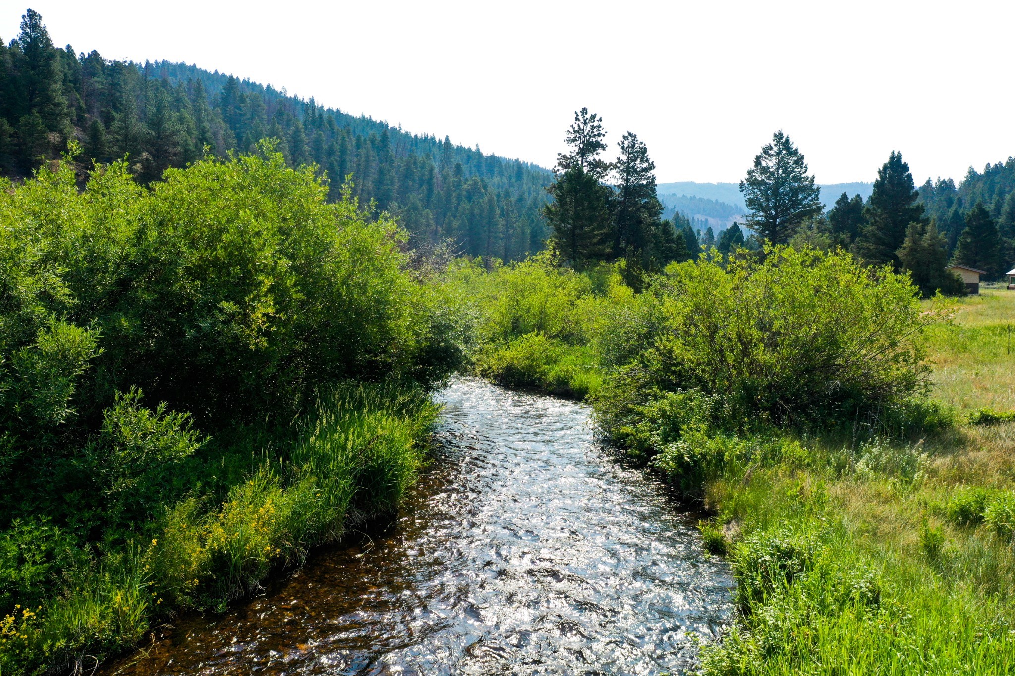 Lot 3 W Creekside Court Property Photo 1