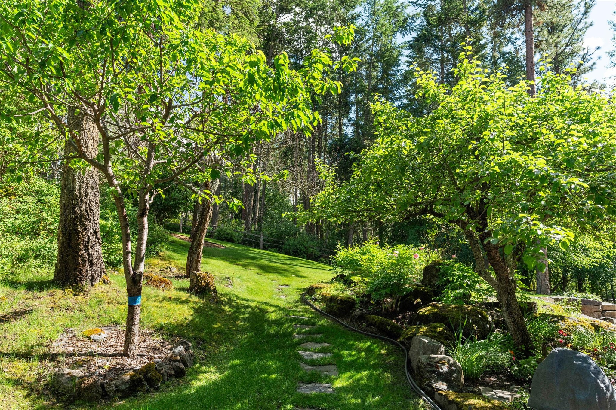 373 Hughes Bay Road Property Photo 58
