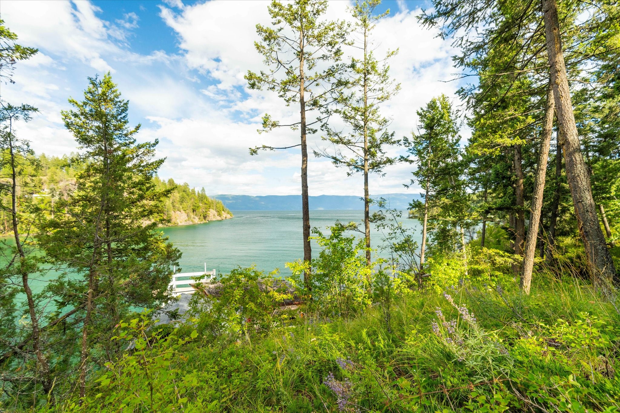 373 Hughes Bay Road Property Photo 62