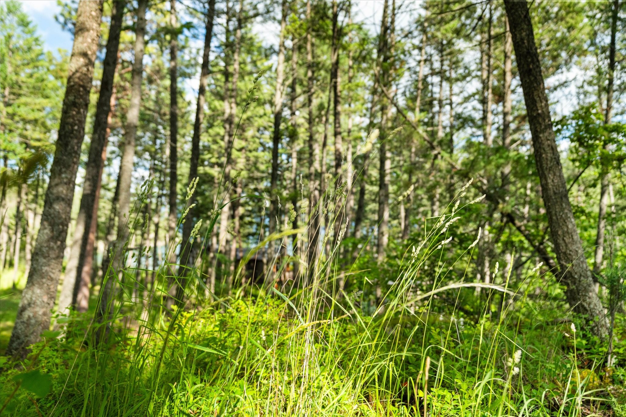 373 Hughes Bay Road Property Photo 65