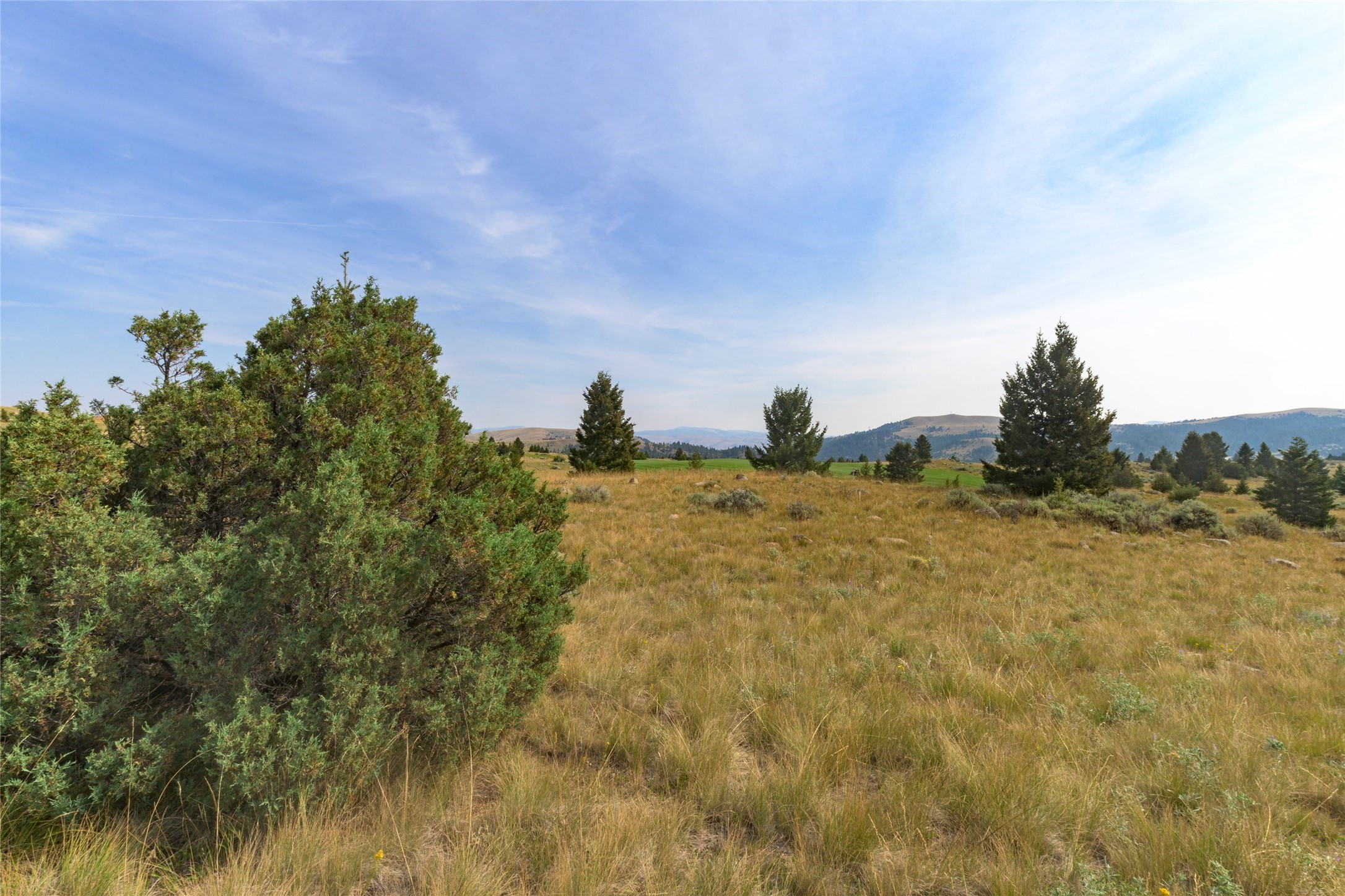 817 Pintler View Road Property Photo 9