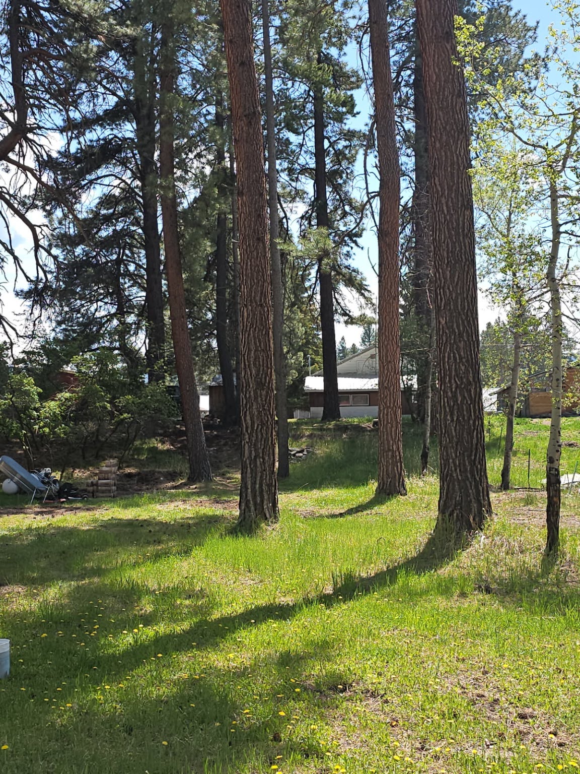 808 2nd Street N Property Photo 11