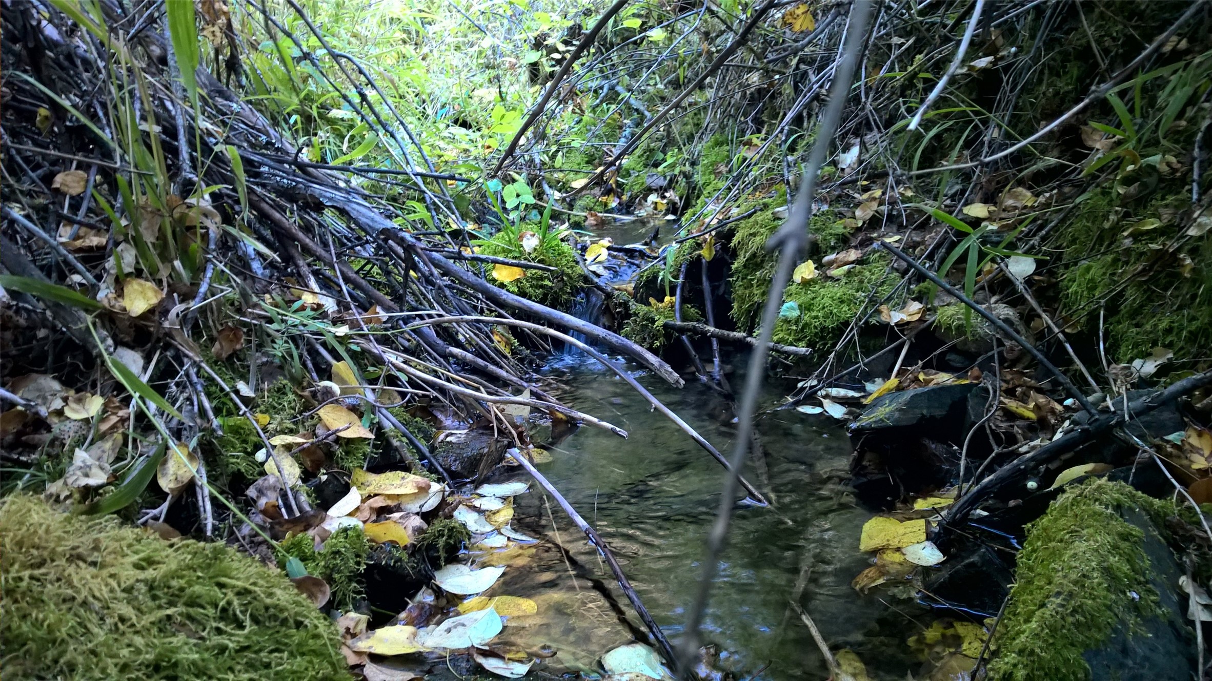 Nhn Lamaraux Creek Road Property Photo