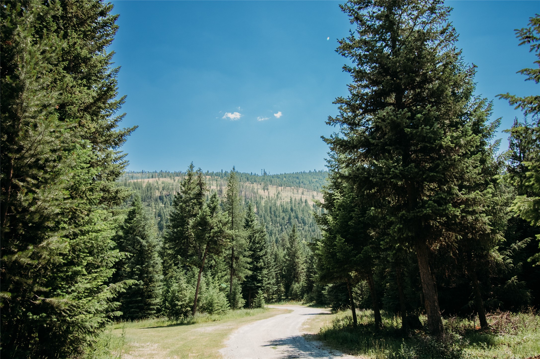 7957 Us Highway 2 W Property Photo 53
