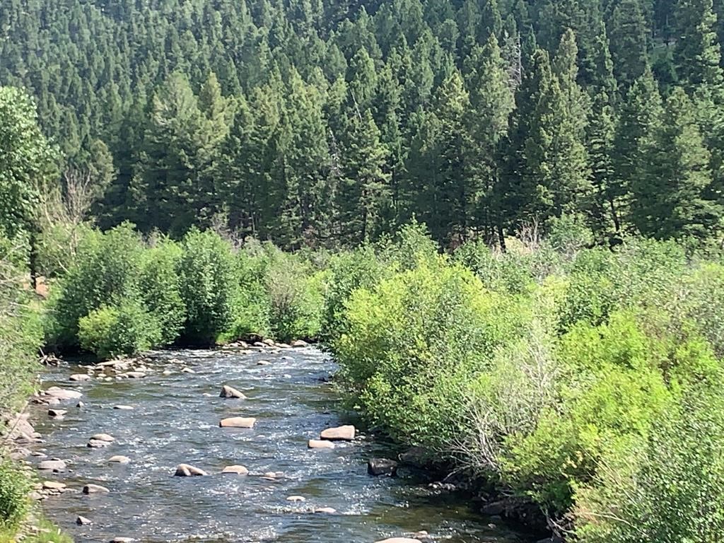 Nhn Speckelator Lode Property Photo 3