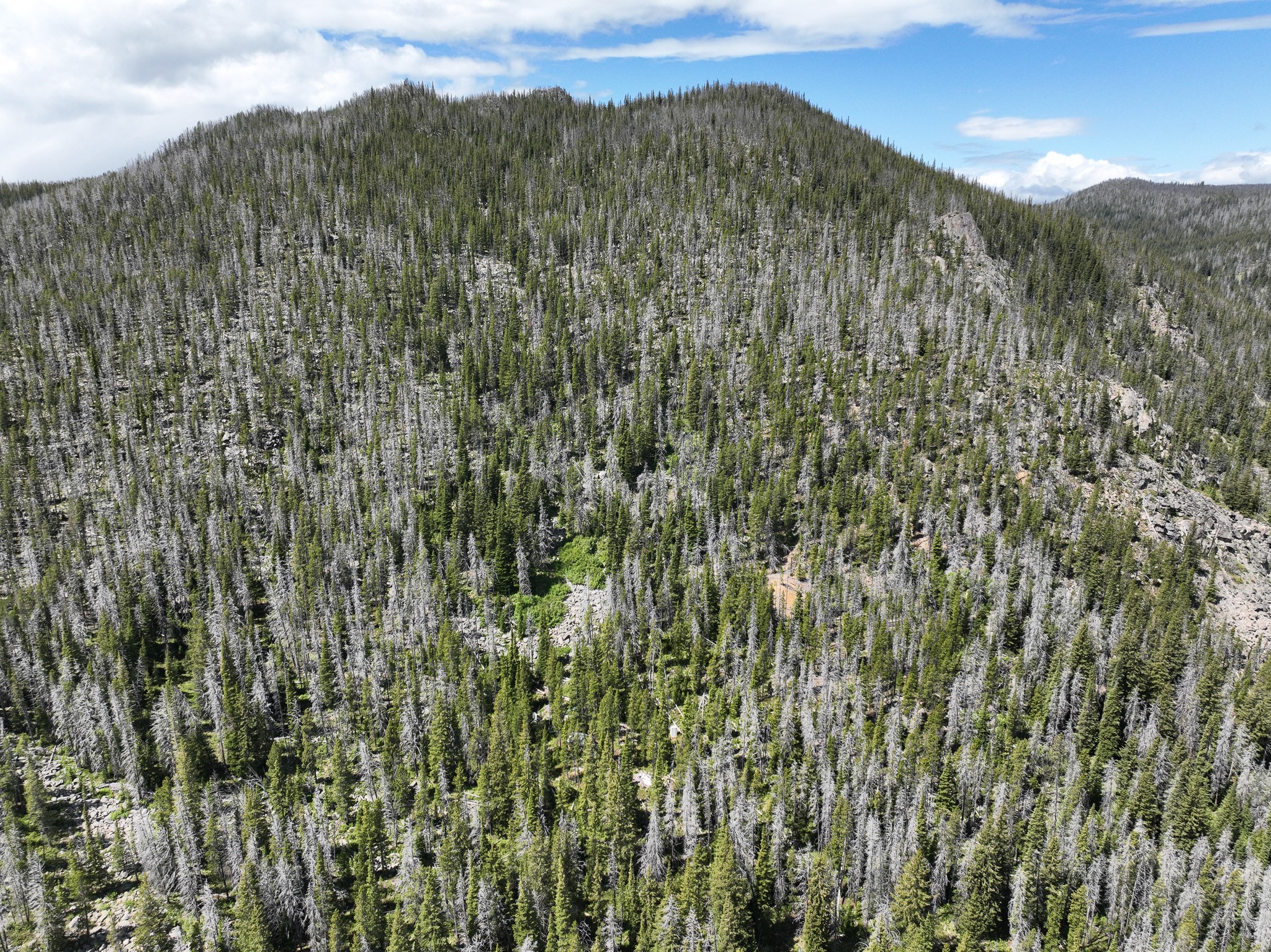 Nhn Cataract Creek Road Property Photo 2