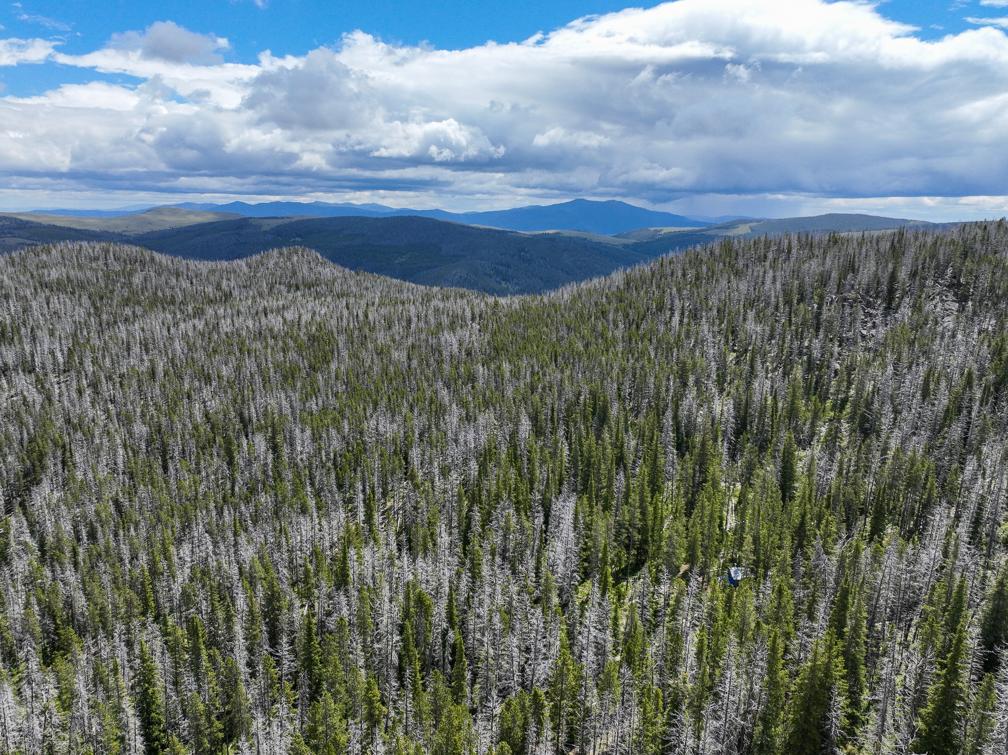 Nhn Cataract Creek Road Property Photo 3