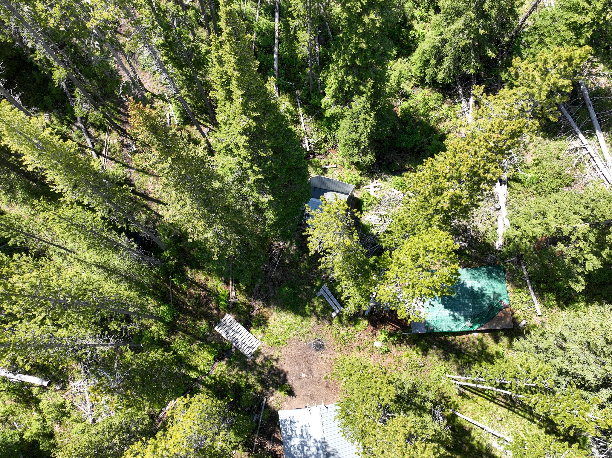 Nhn Cataract Creek Road Property Photo 4