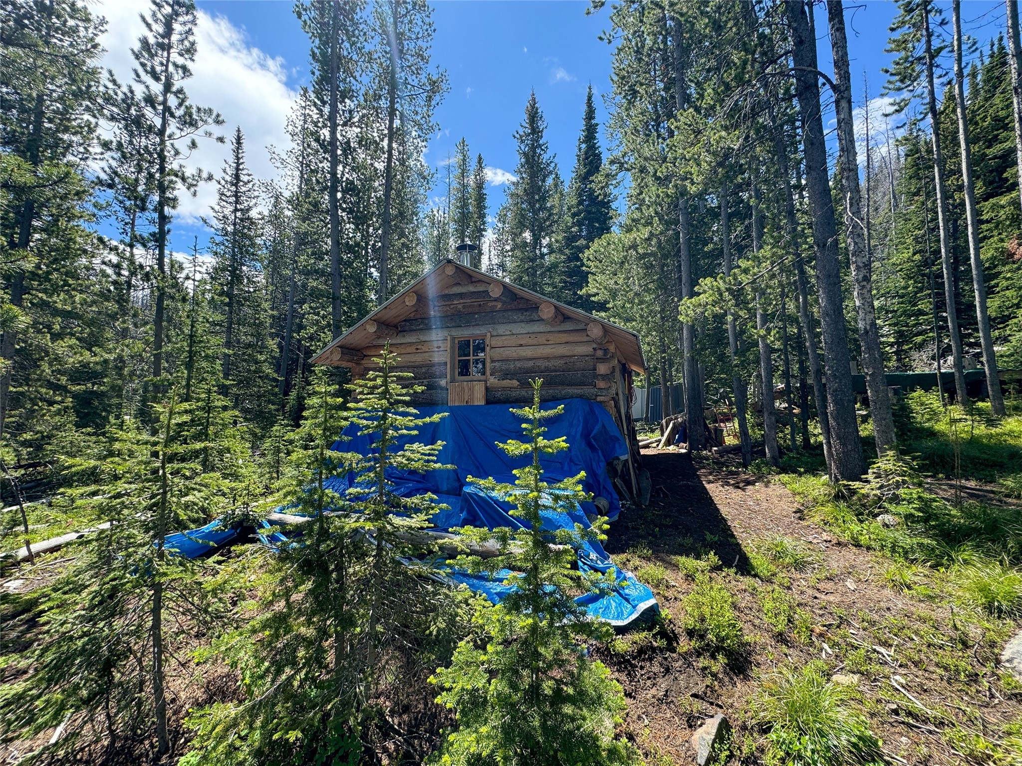 Nhn Cataract Creek Road Property Photo 14