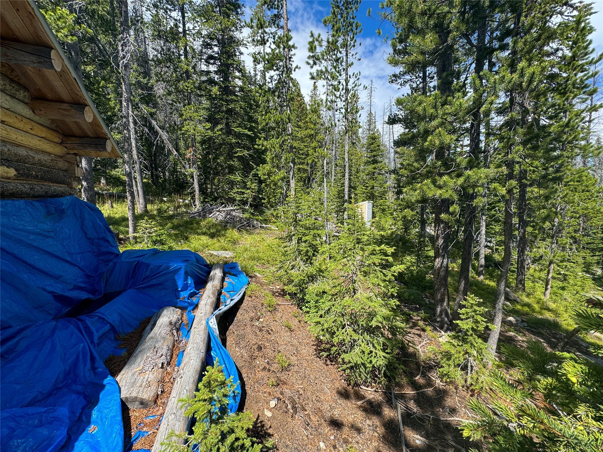 Nhn Cataract Creek Road Property Photo 15