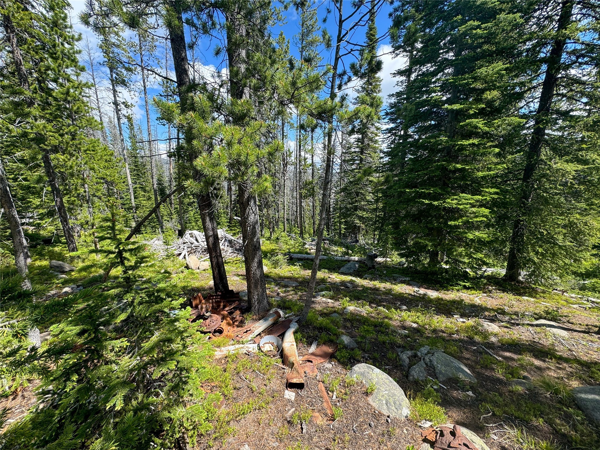 Nhn Cataract Creek Road Property Photo 17
