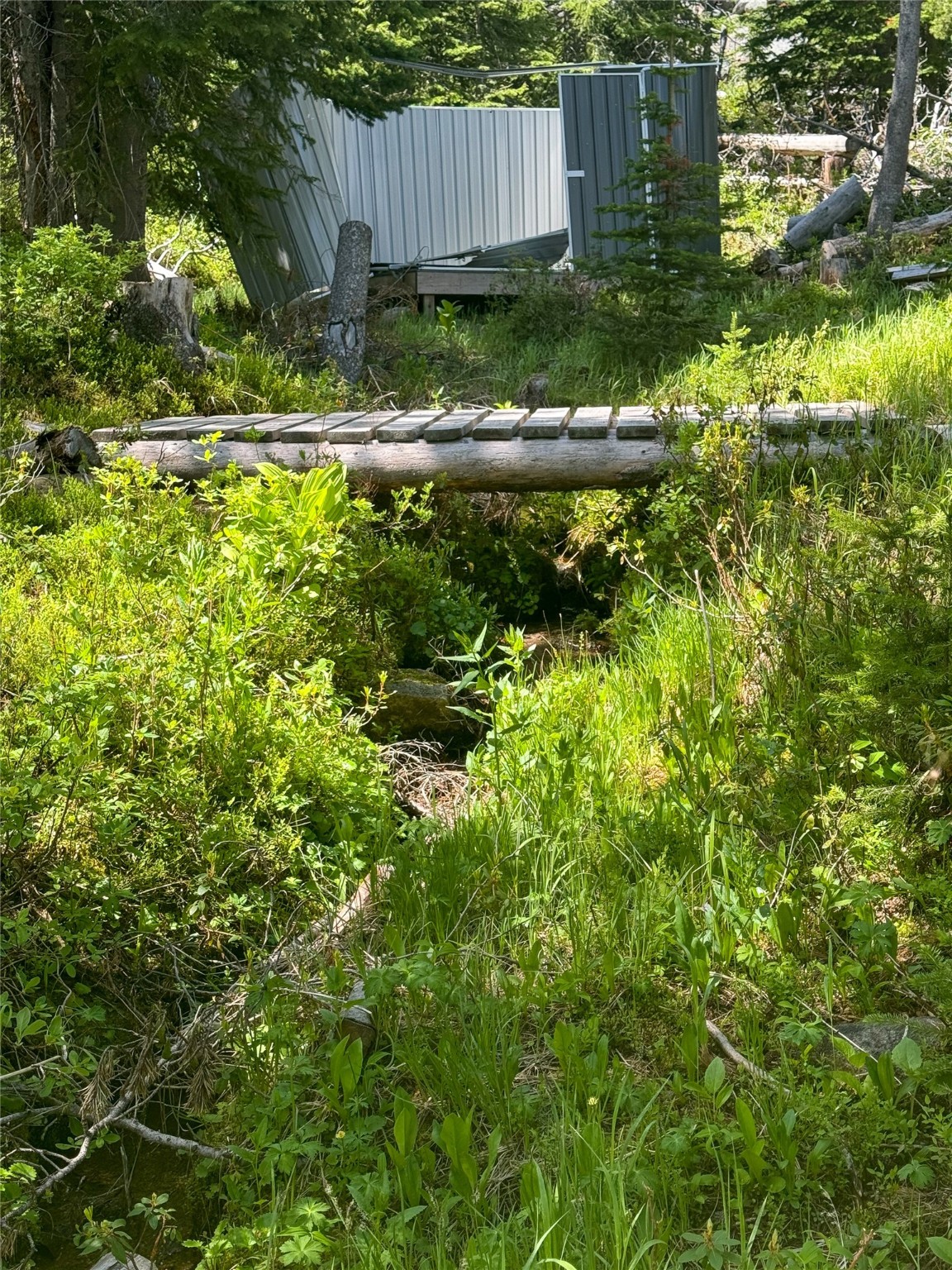 Nhn Cataract Creek Road Property Photo 18