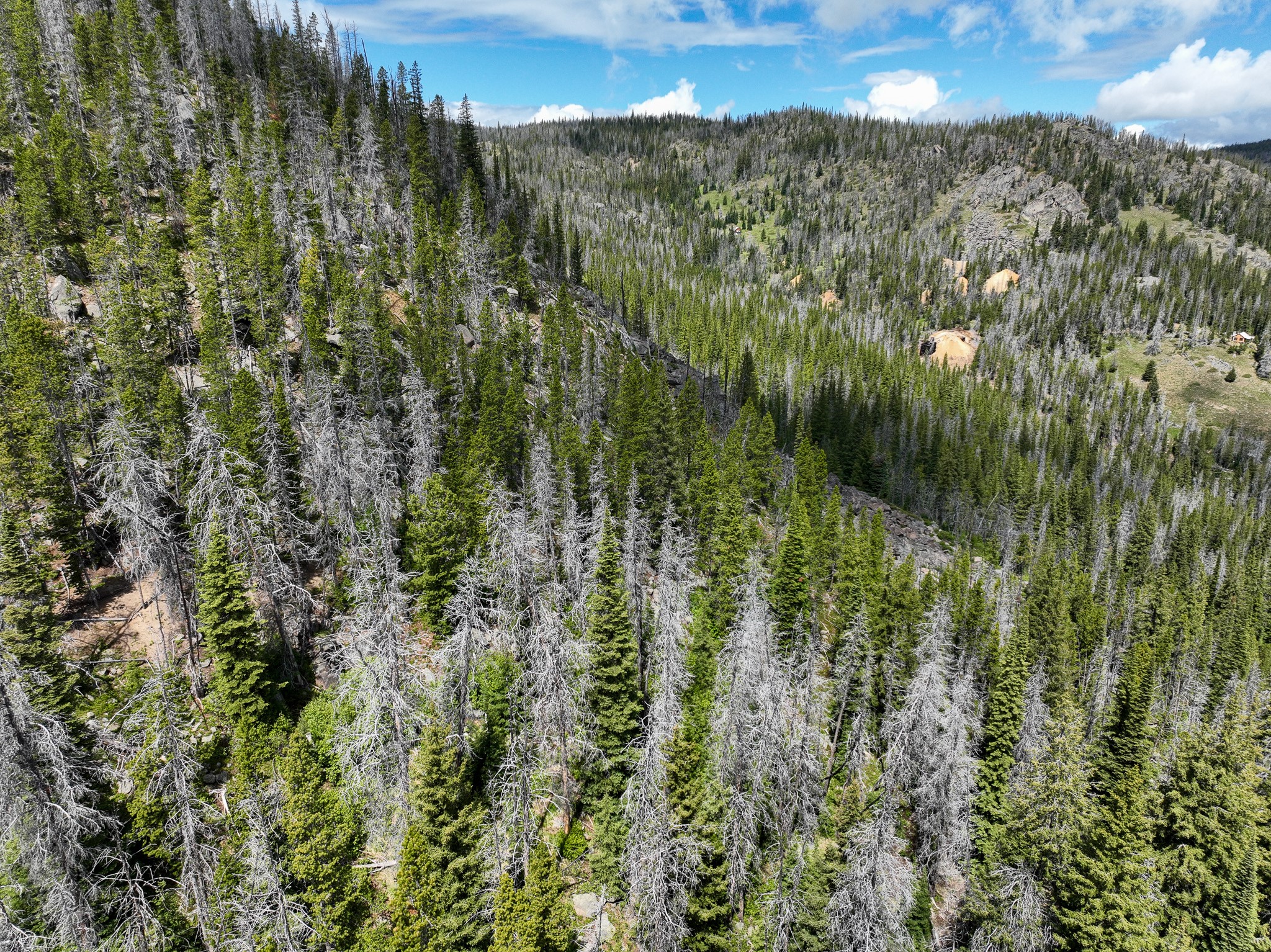 Nhn Cataract Creek Road Property Photo 20