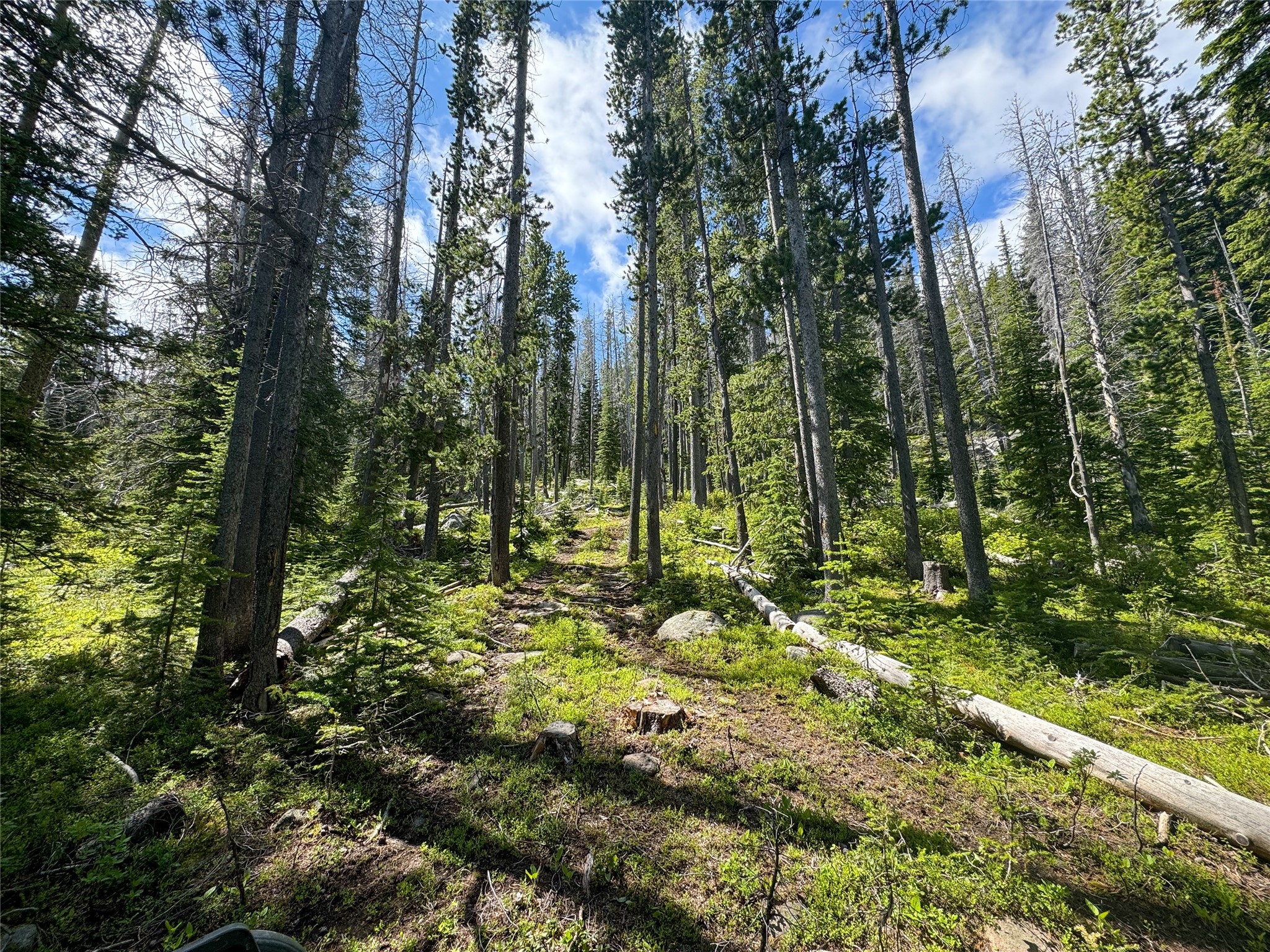 Nhn Cataract Creek Road Property Photo 21