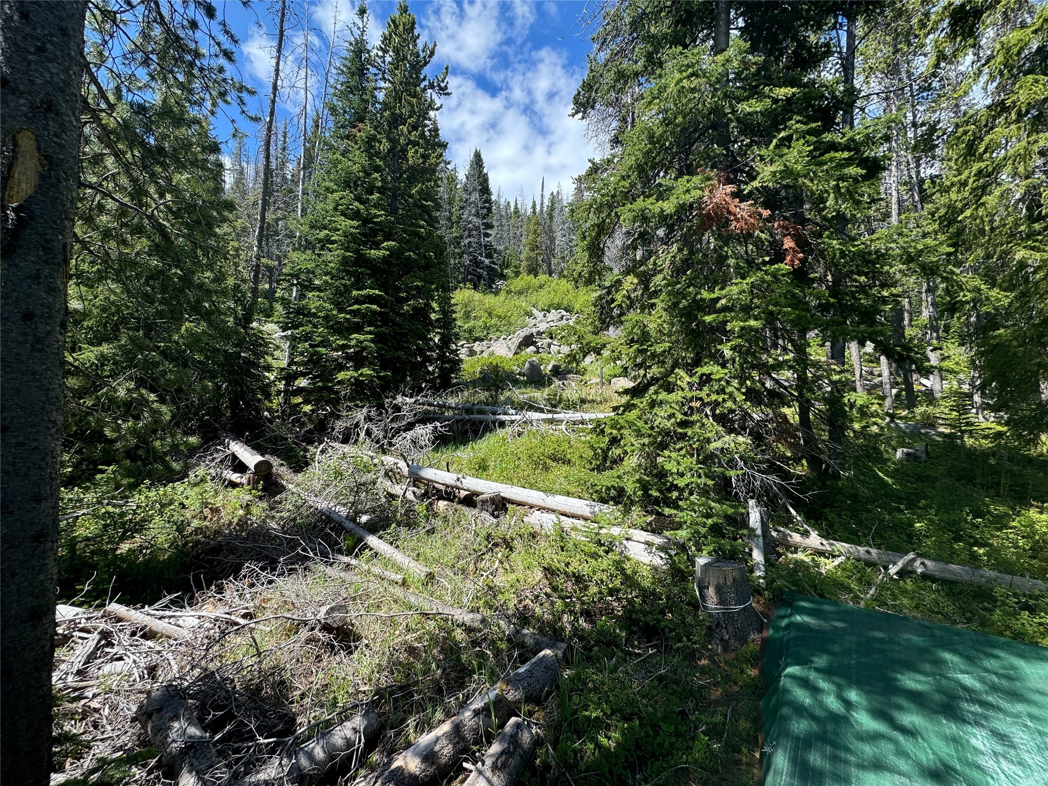 Nhn Cataract Creek Road Property Photo 22