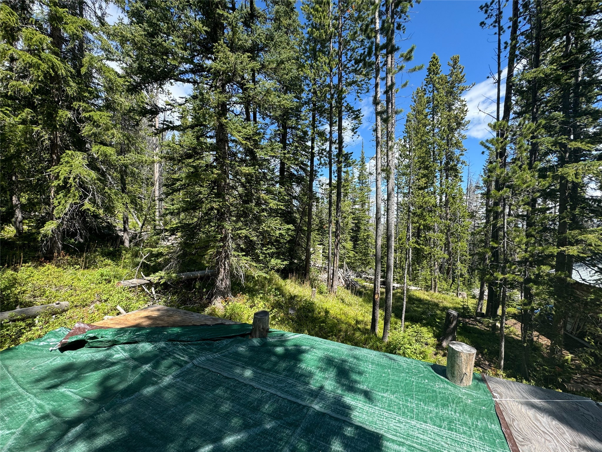 Nhn Cataract Creek Road Property Photo 23
