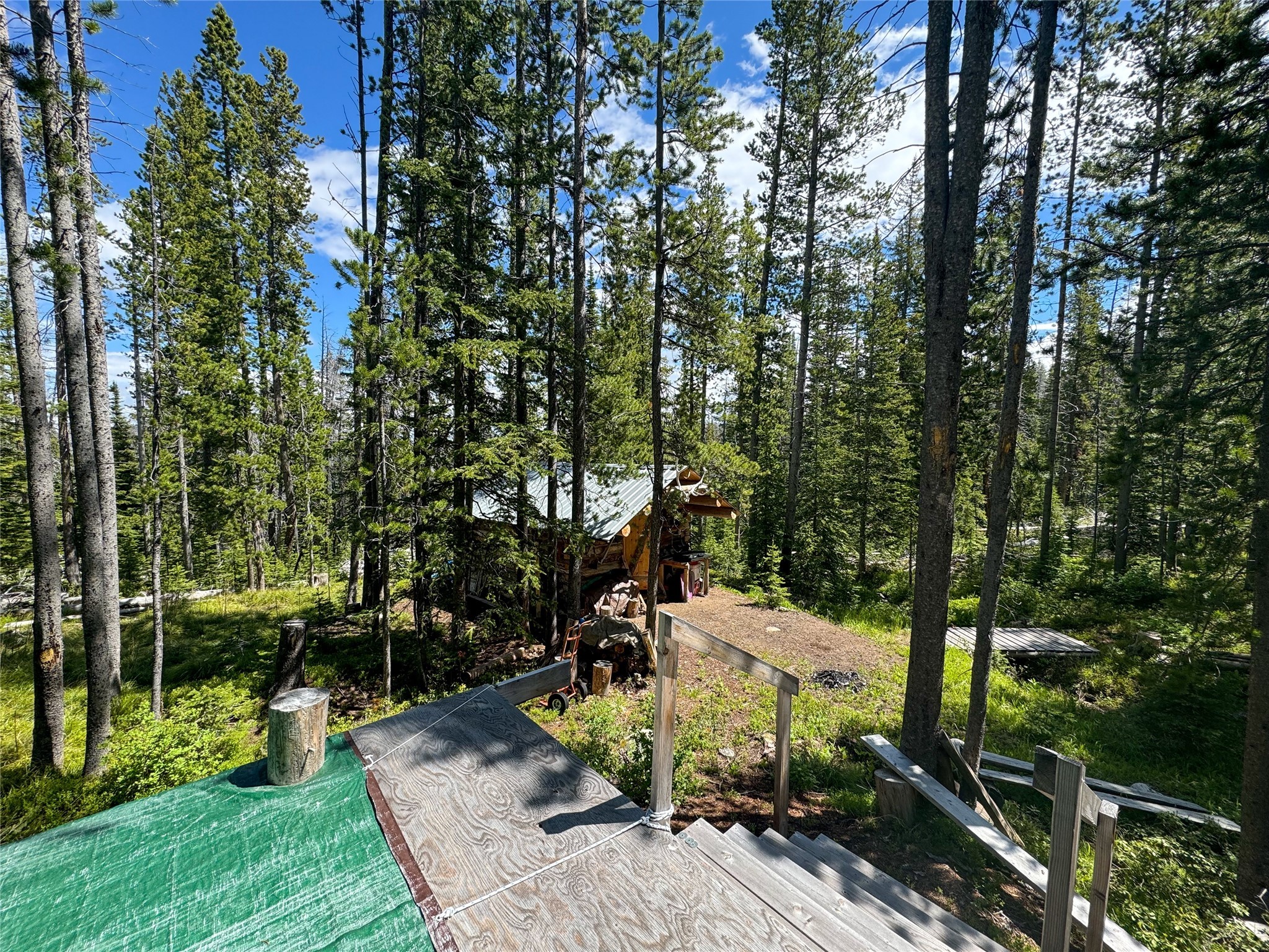 Nhn Cataract Creek Road Property Photo 24