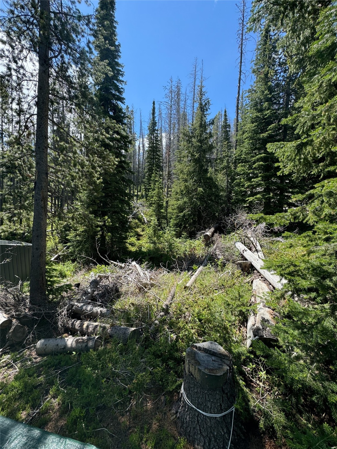 Nhn Cataract Creek Road Property Photo 27