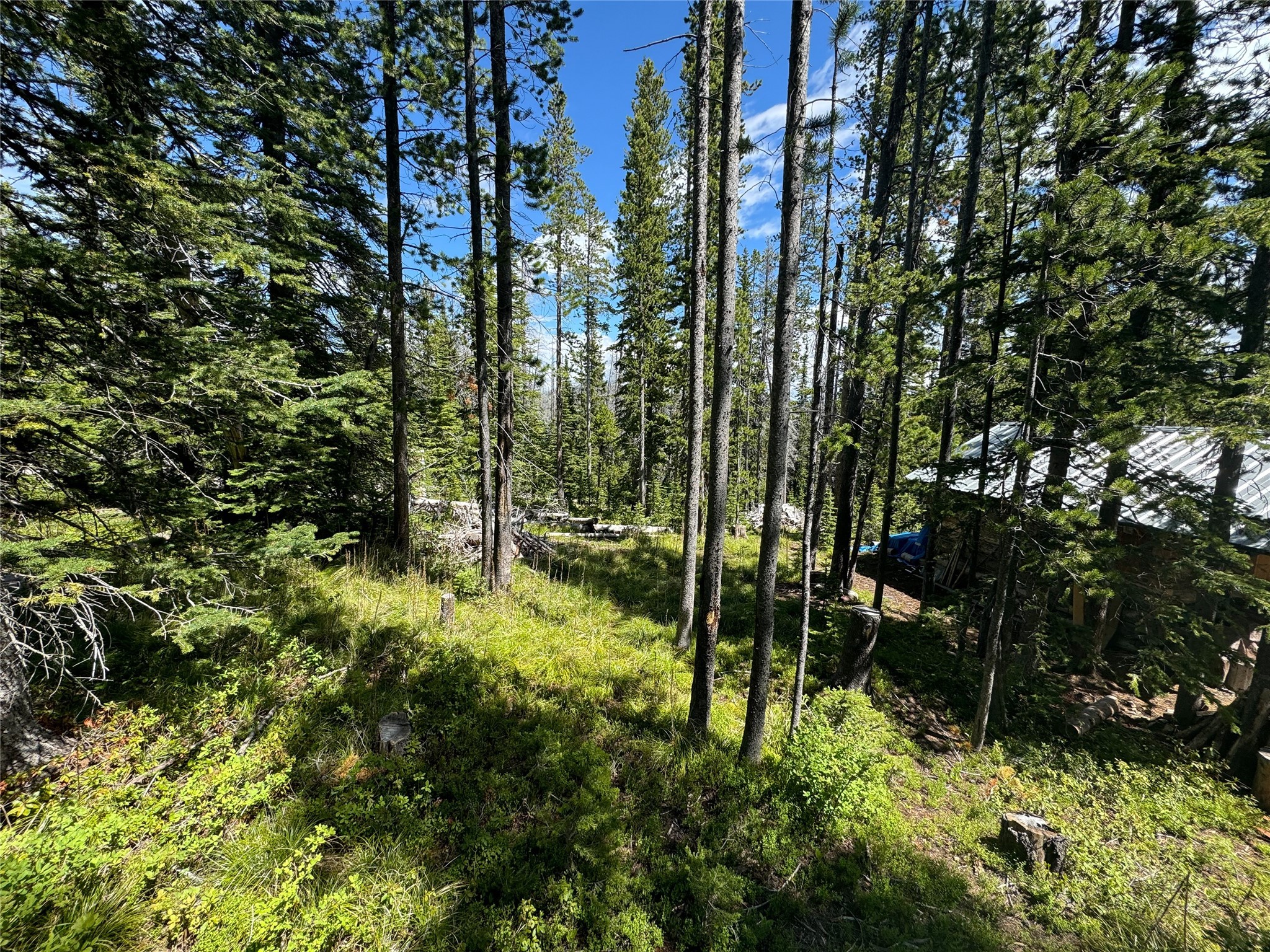 Nhn Cataract Creek Road Property Photo 28