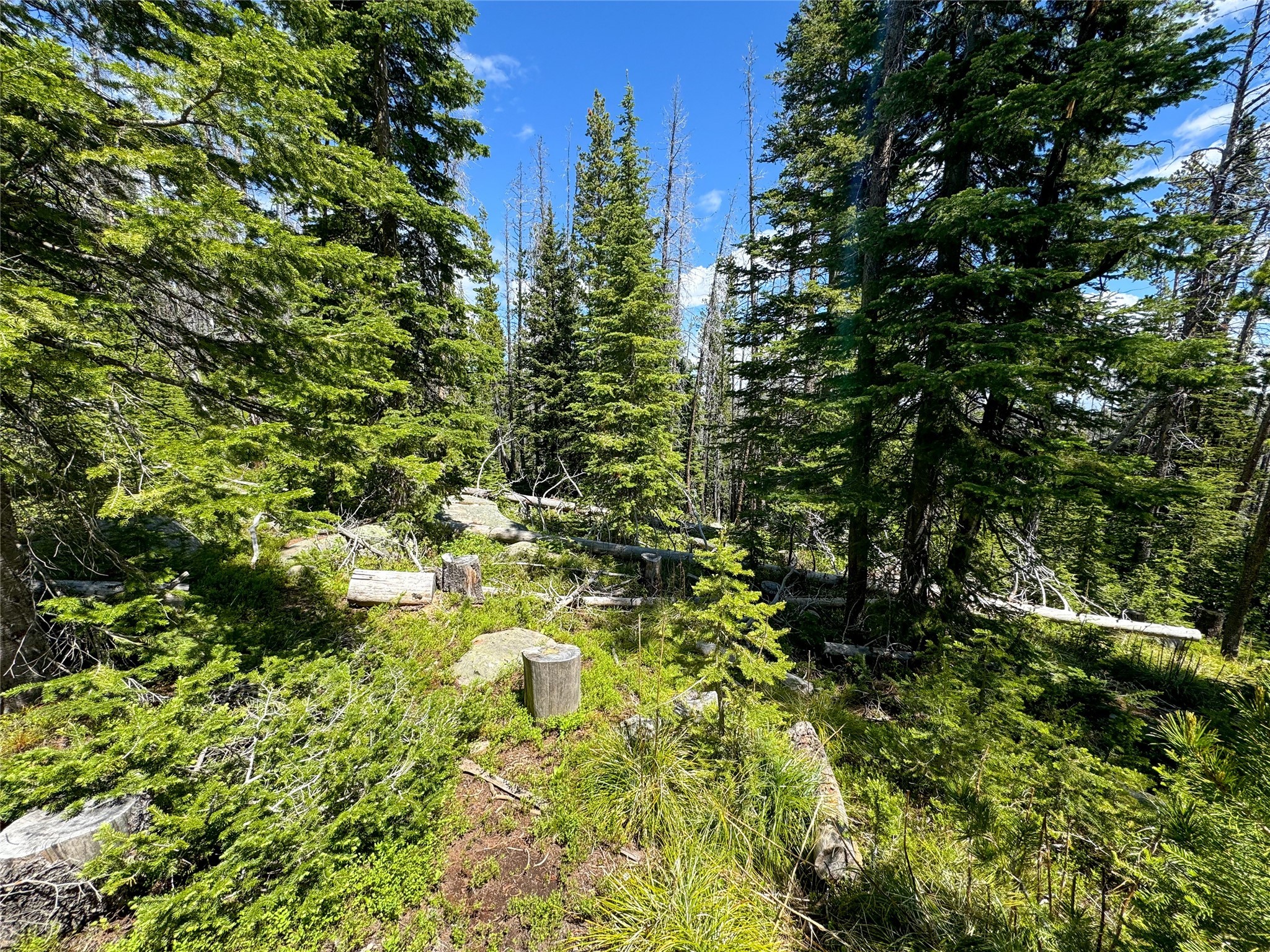 Nhn Cataract Creek Road Property Photo 29