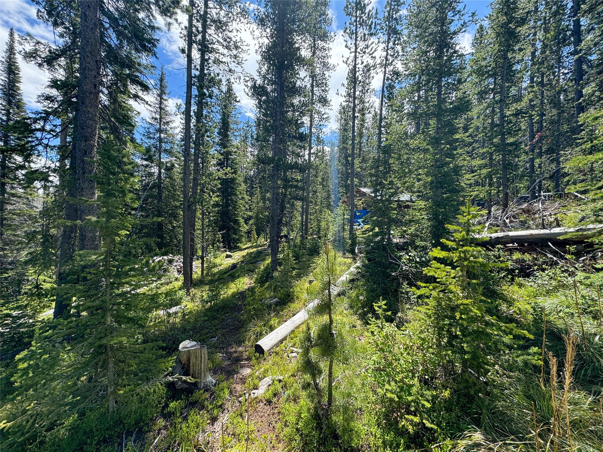 Nhn Cataract Creek Road Property Photo 30