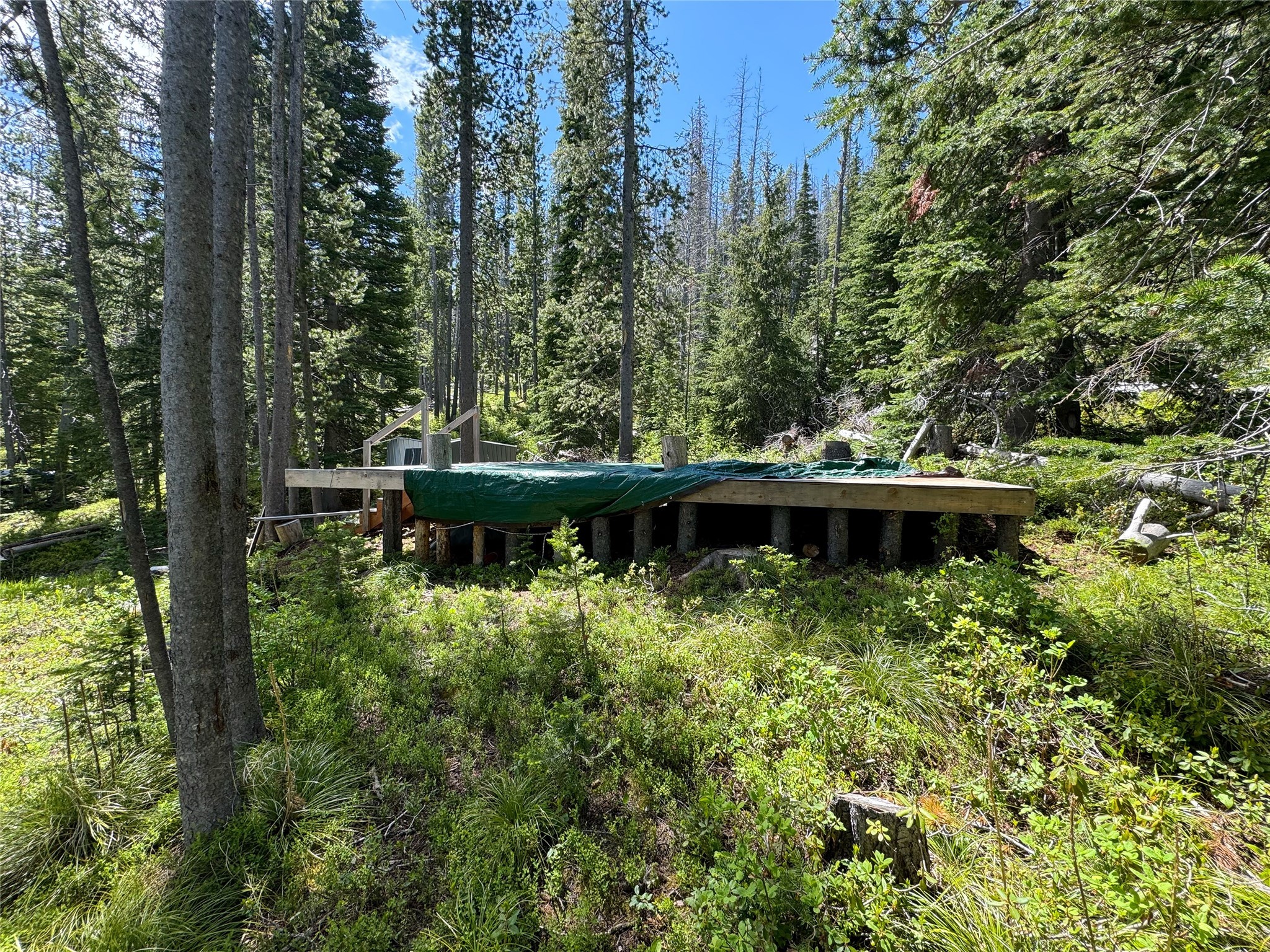 Nhn Cataract Creek Road Property Photo 31