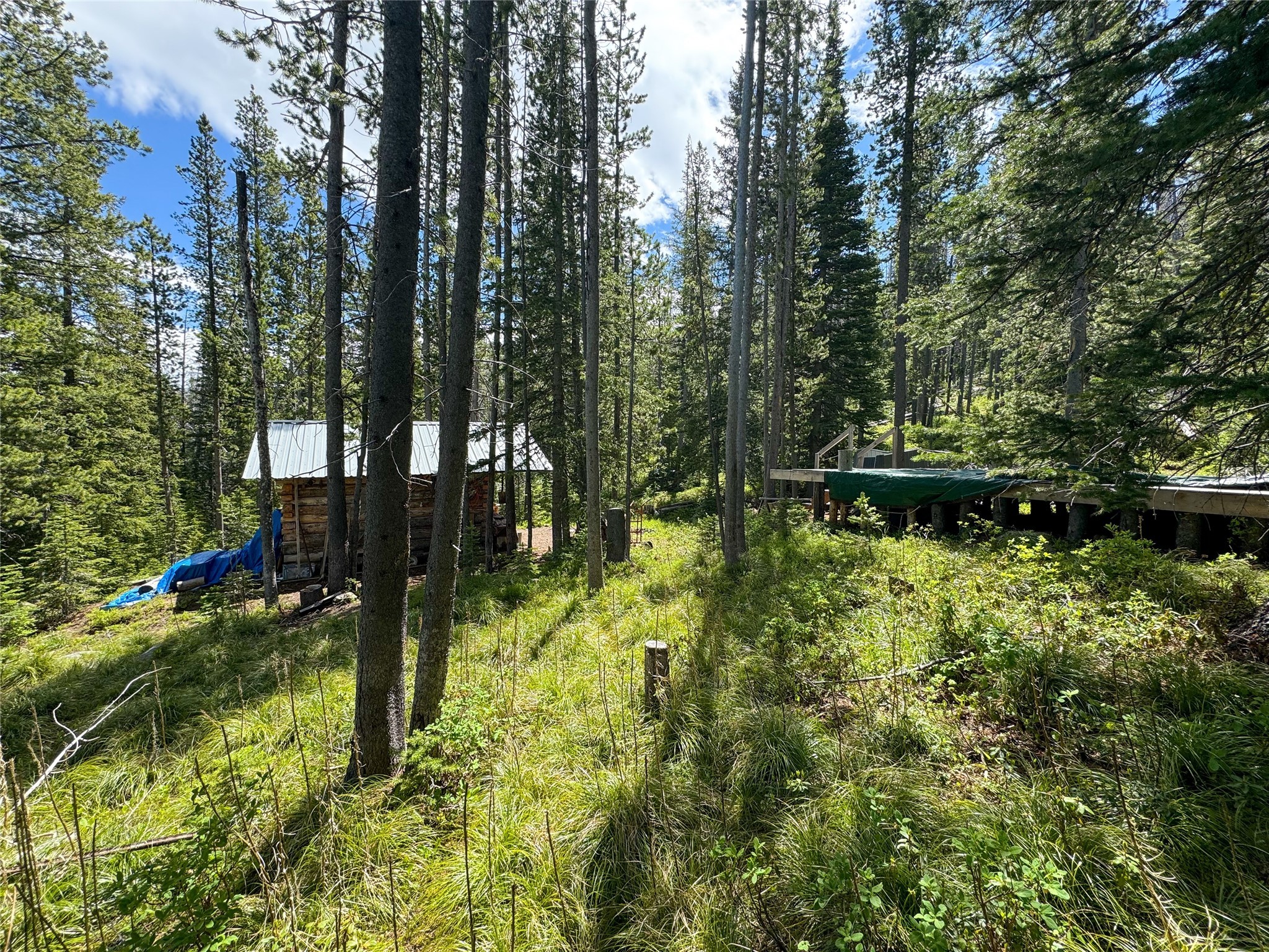 Nhn Cataract Creek Road Property Photo 32