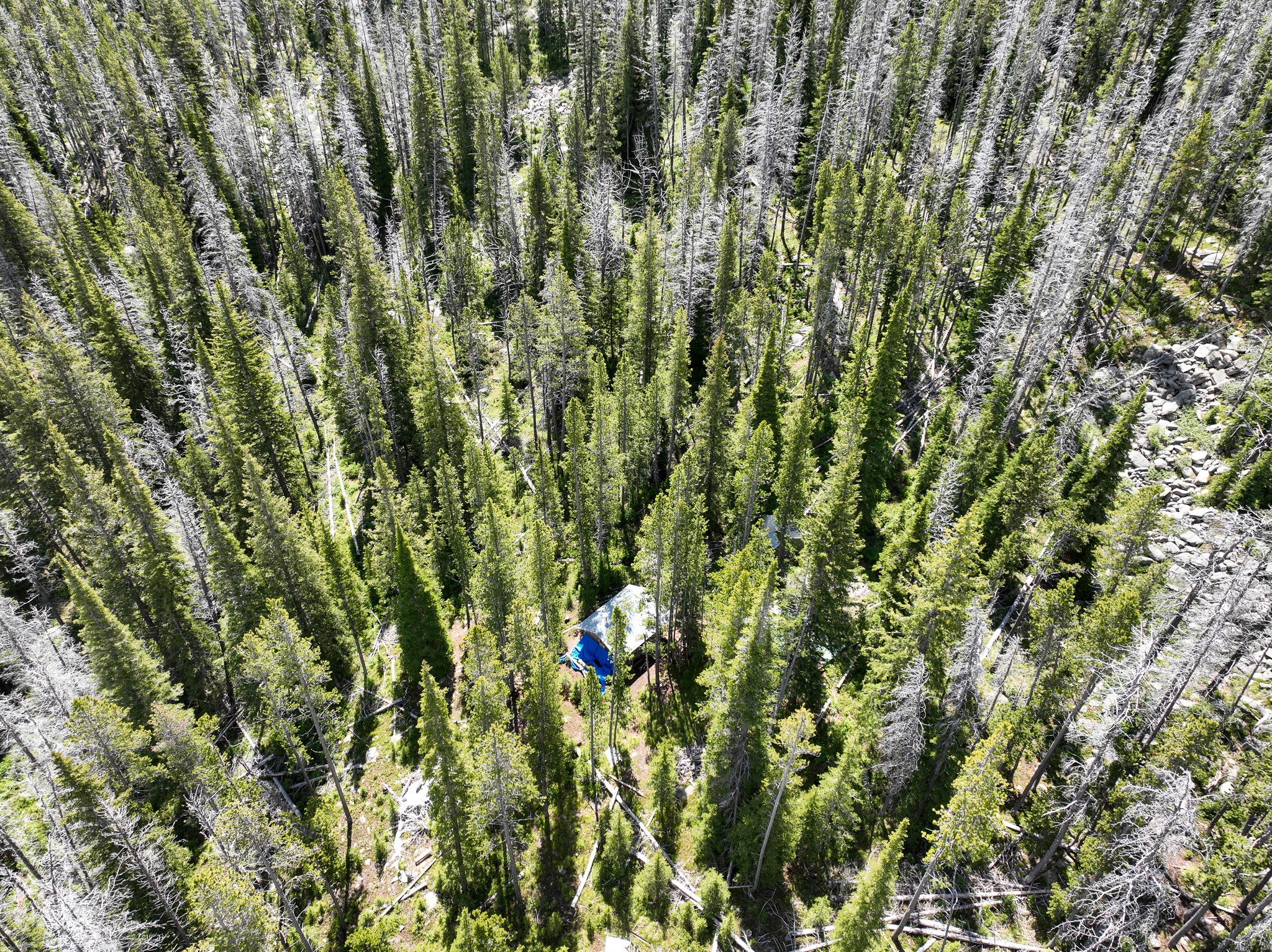 Nhn Cataract Creek Road Property Photo 33