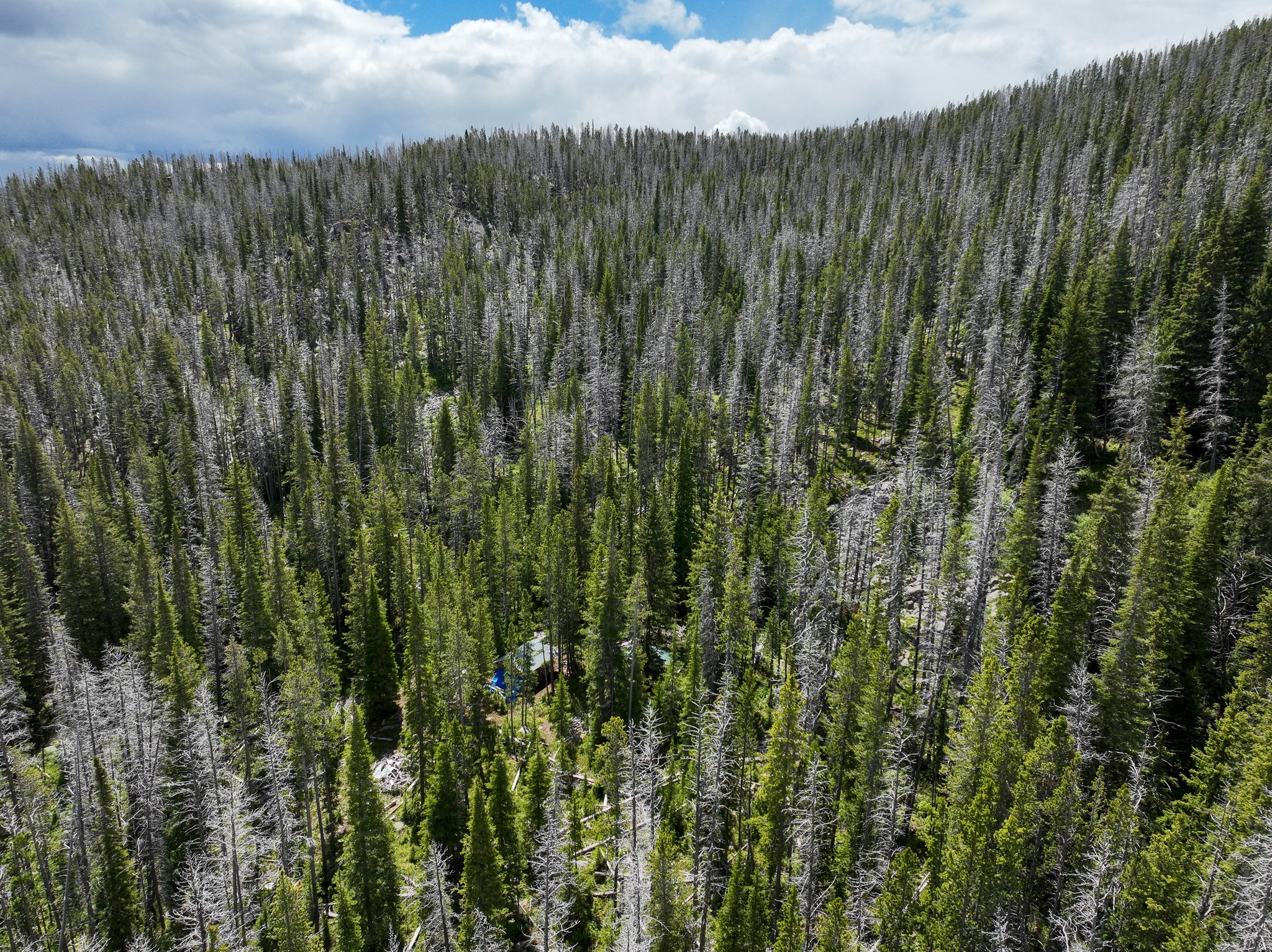 Nhn Cataract Creek Road Property Photo 35