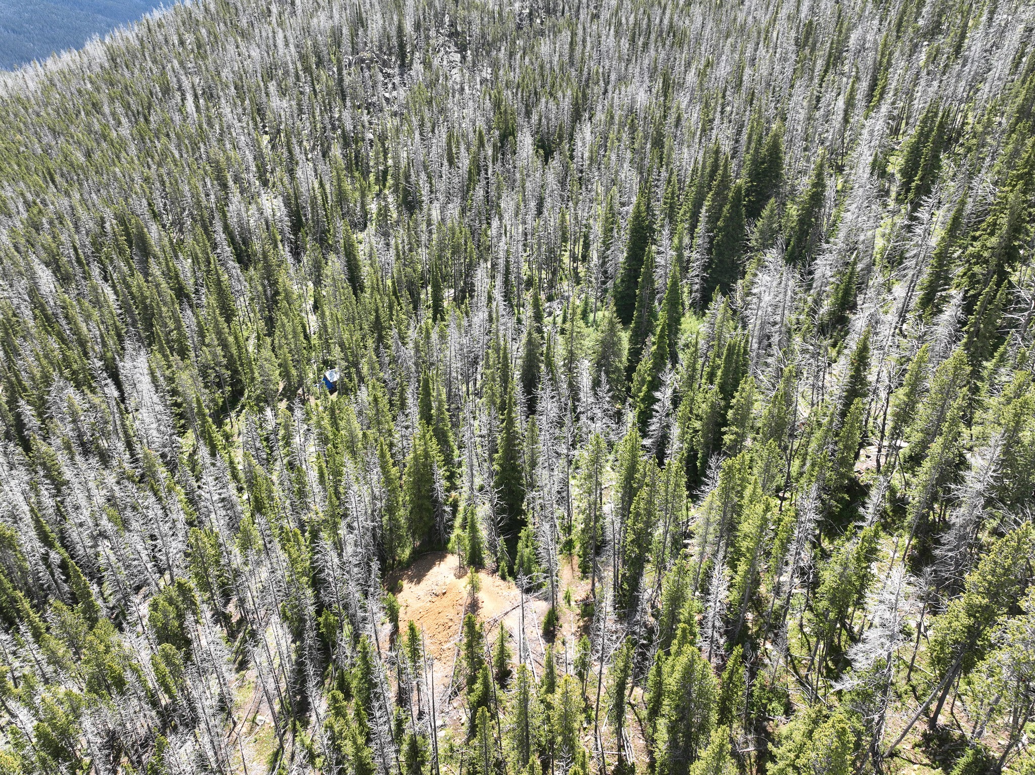 Nhn Cataract Creek Road Property Photo 36