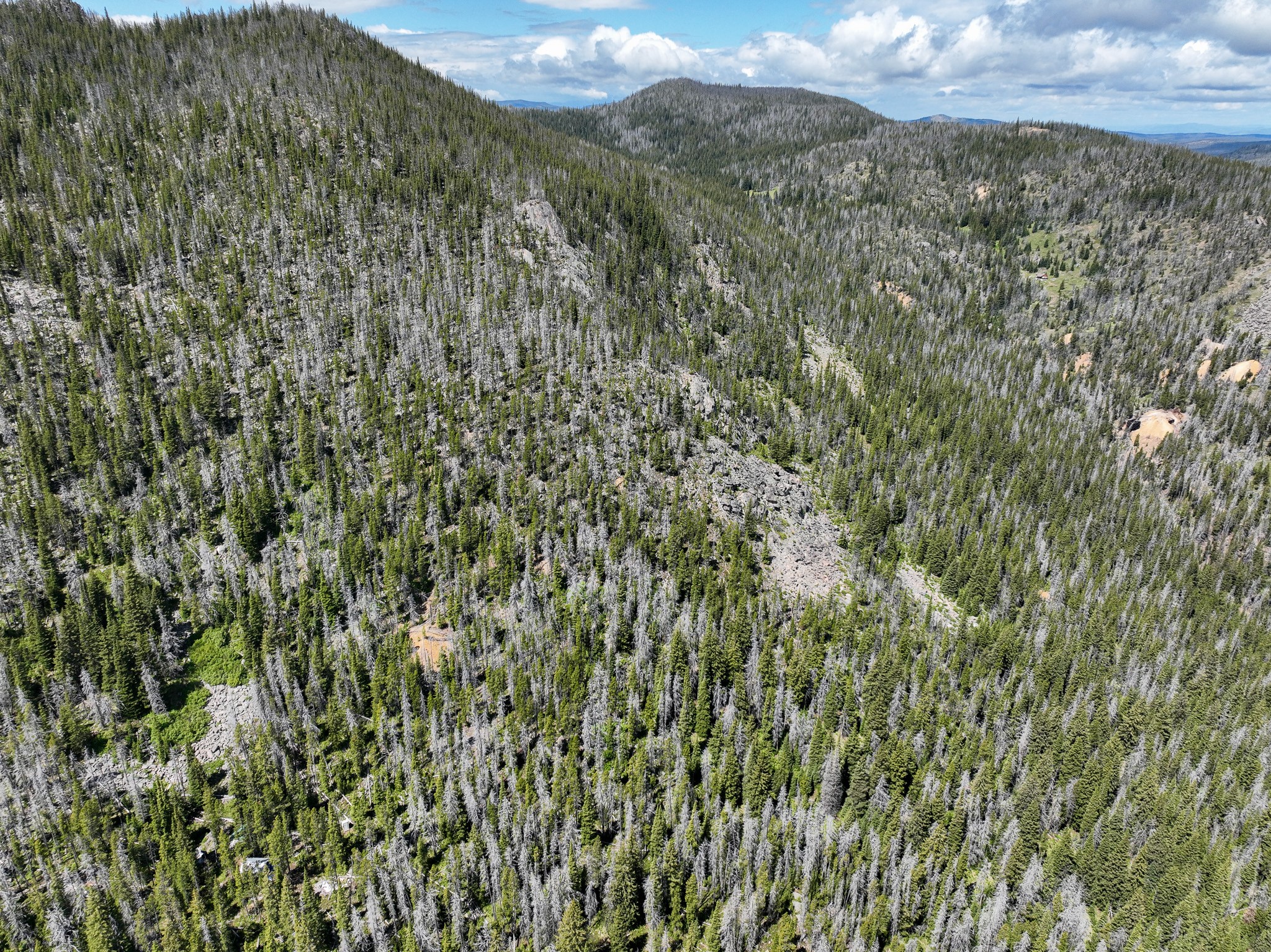 Nhn Cataract Creek Road Property Photo 37