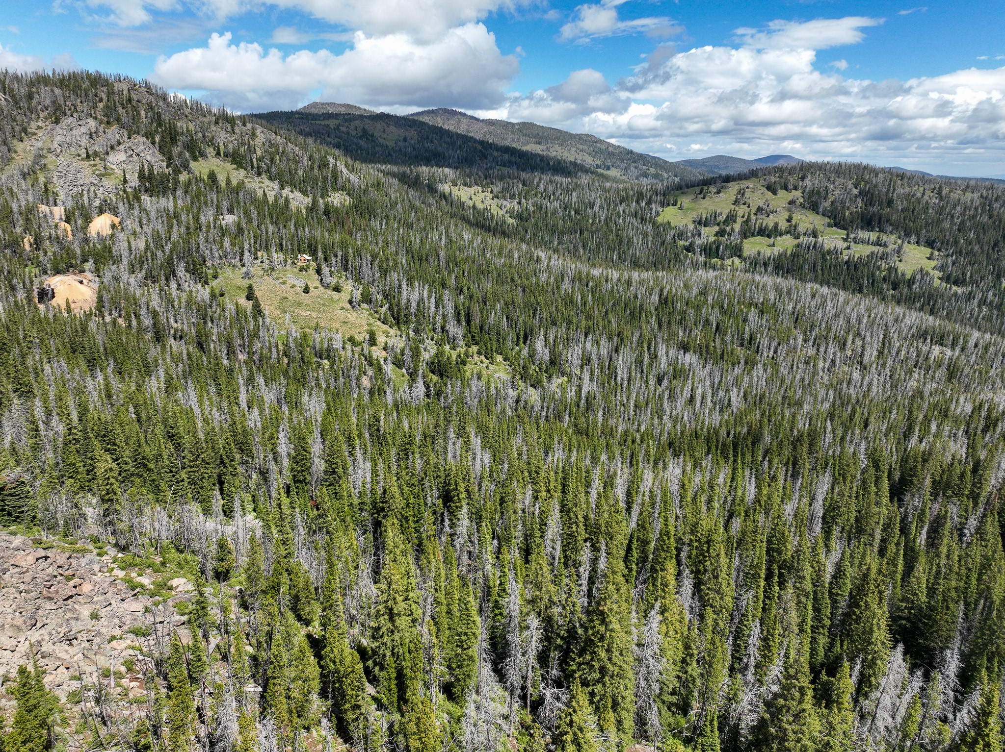 Nhn Cataract Creek Road Property Photo 38